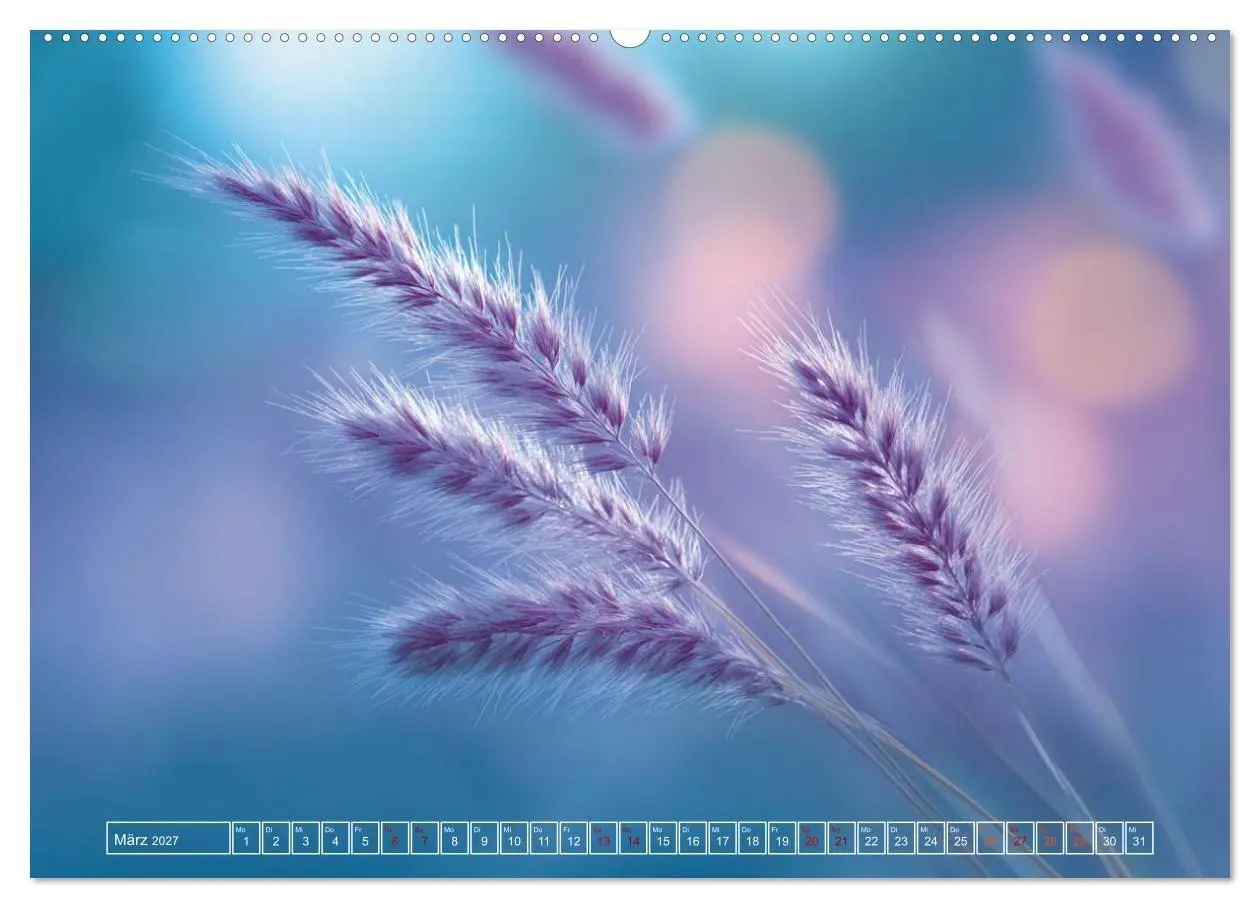 Bild: 9783516756173 | Lichtspiele der Natur (hochwertiger Premium Wandkalender 2027 DIN...