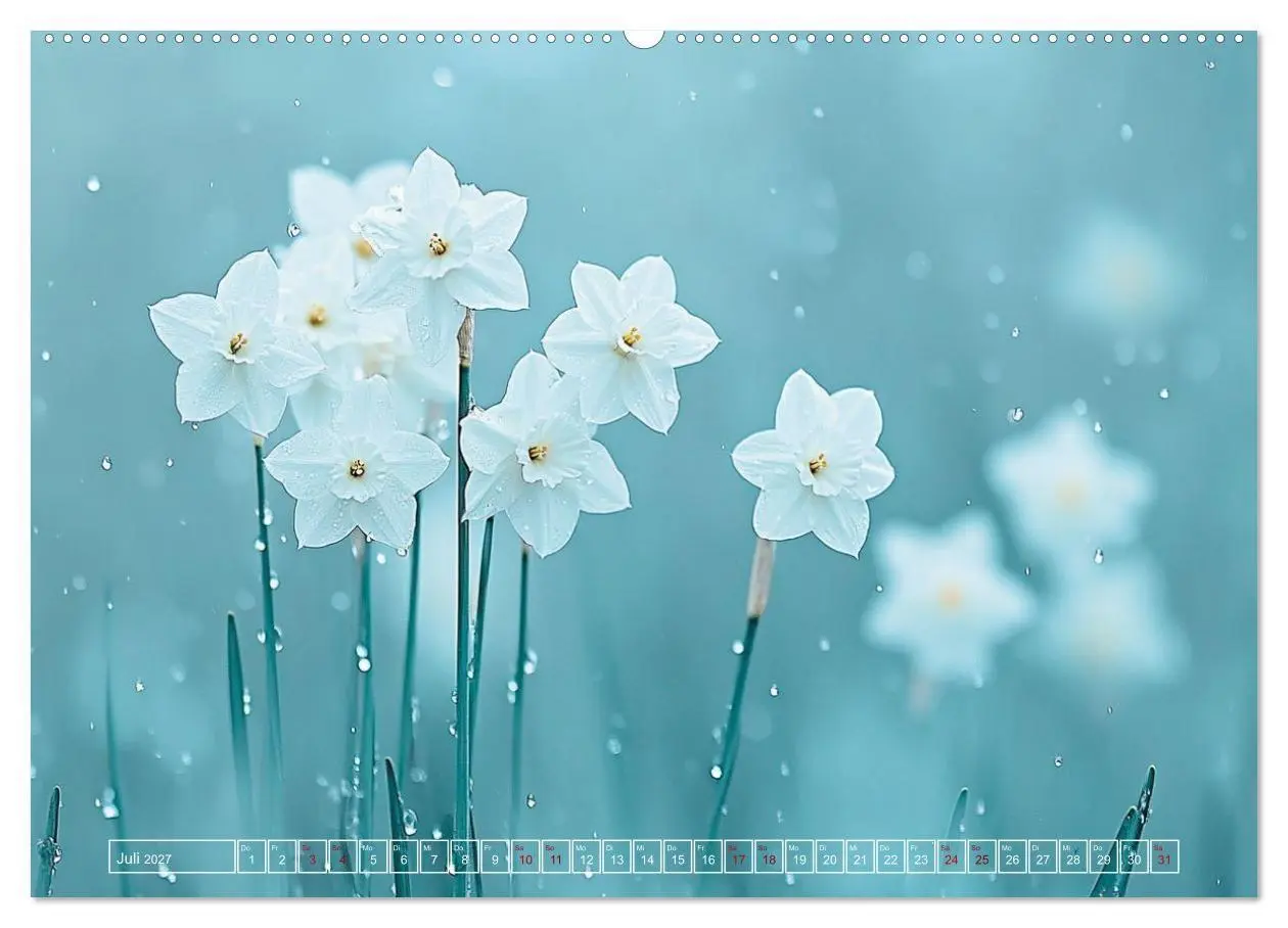 Bild: 9783516756173 | Lichtspiele der Natur (hochwertiger Premium Wandkalender 2027 DIN...