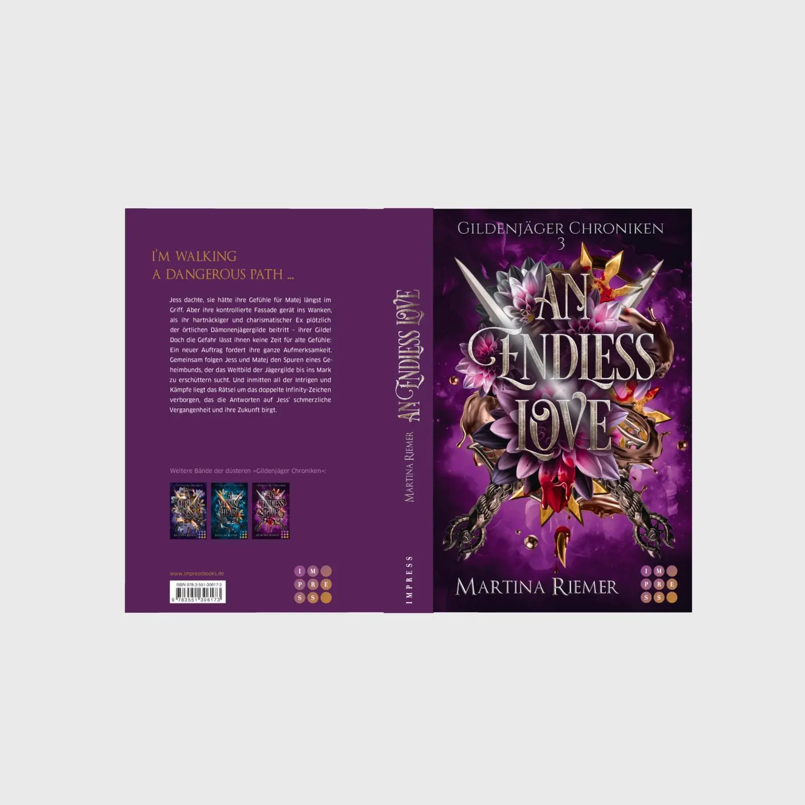 Bild: 9783551306173 | An Endless Love (Gildenjäger Chroniken 3) | Martina Riemer | Buch