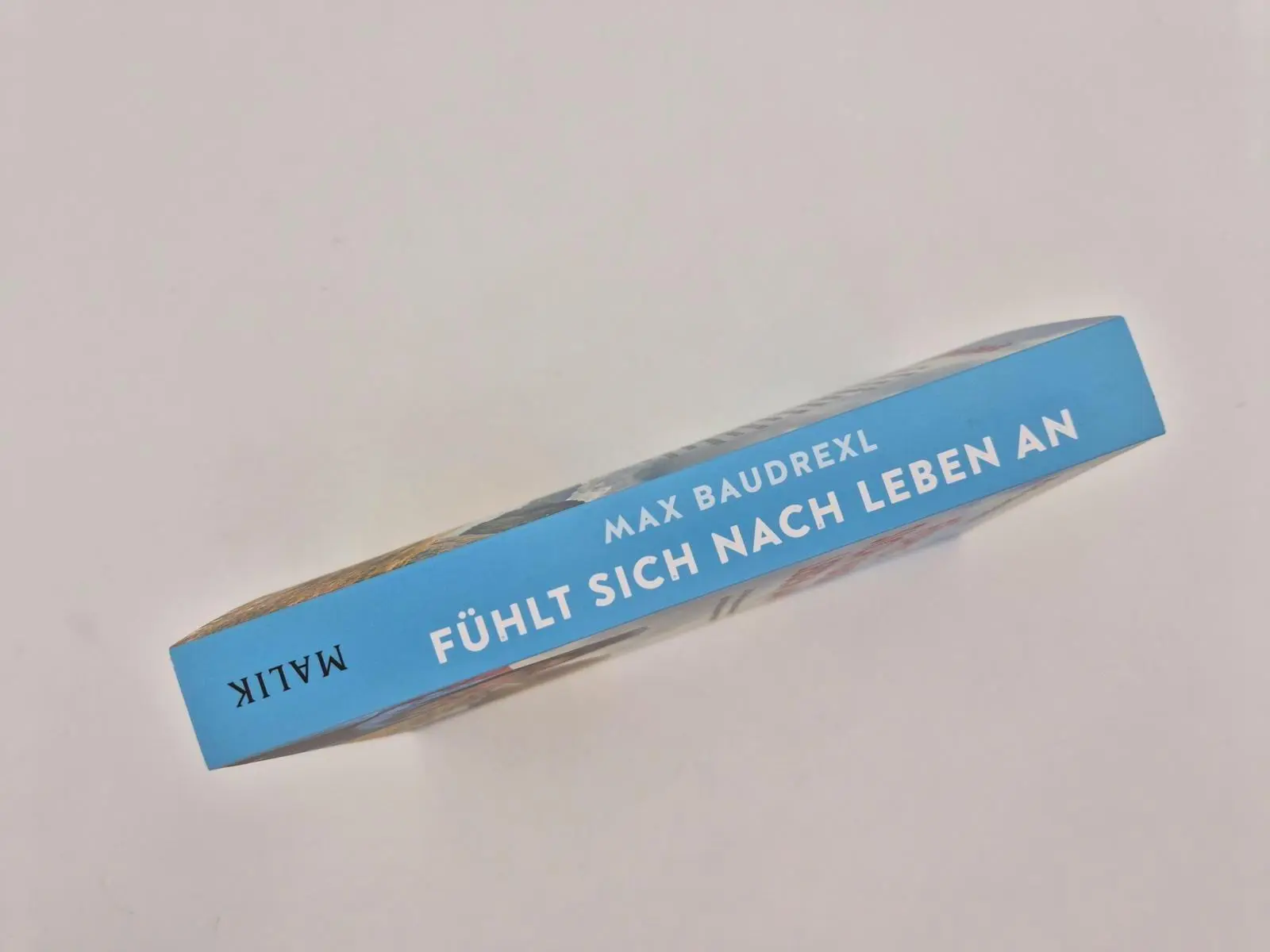 Bild: 9783890296173 | Fühlt sich nach Leben an | Max Baudrexl | Taschenbuch | 304 S. | 2026