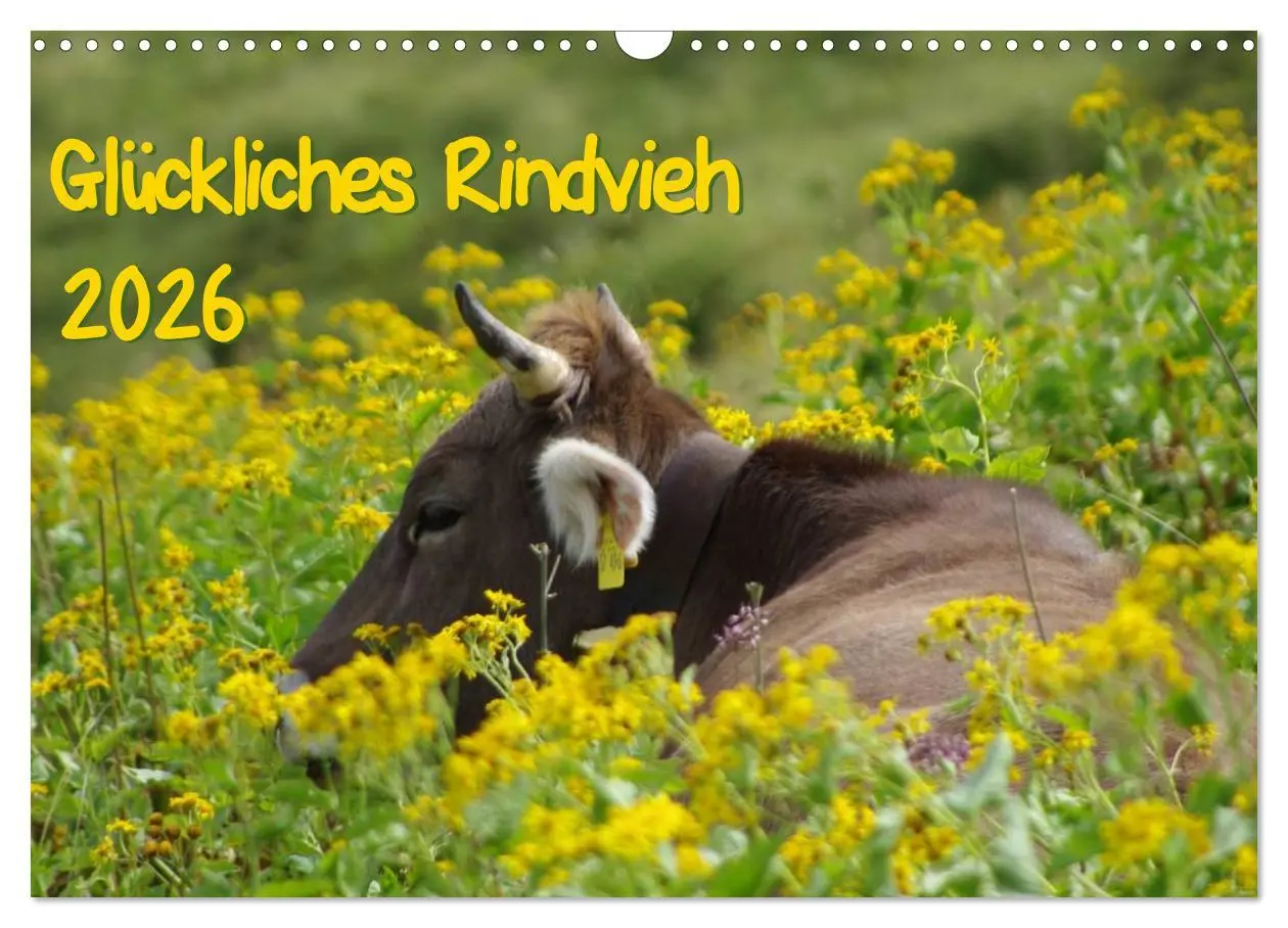 Cover: 9783457966273 | Glückliches Rindvieh 2026 (Wandkalender 2026 DIN A3 quer), CALVENDO...