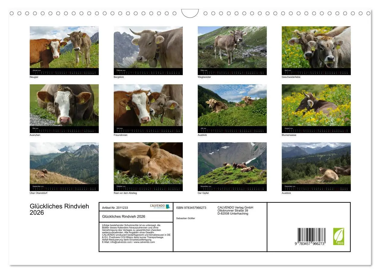 Bild: 9783457966273 | Glückliches Rindvieh 2026 (Wandkalender 2026 DIN A3 quer), CALVENDO...