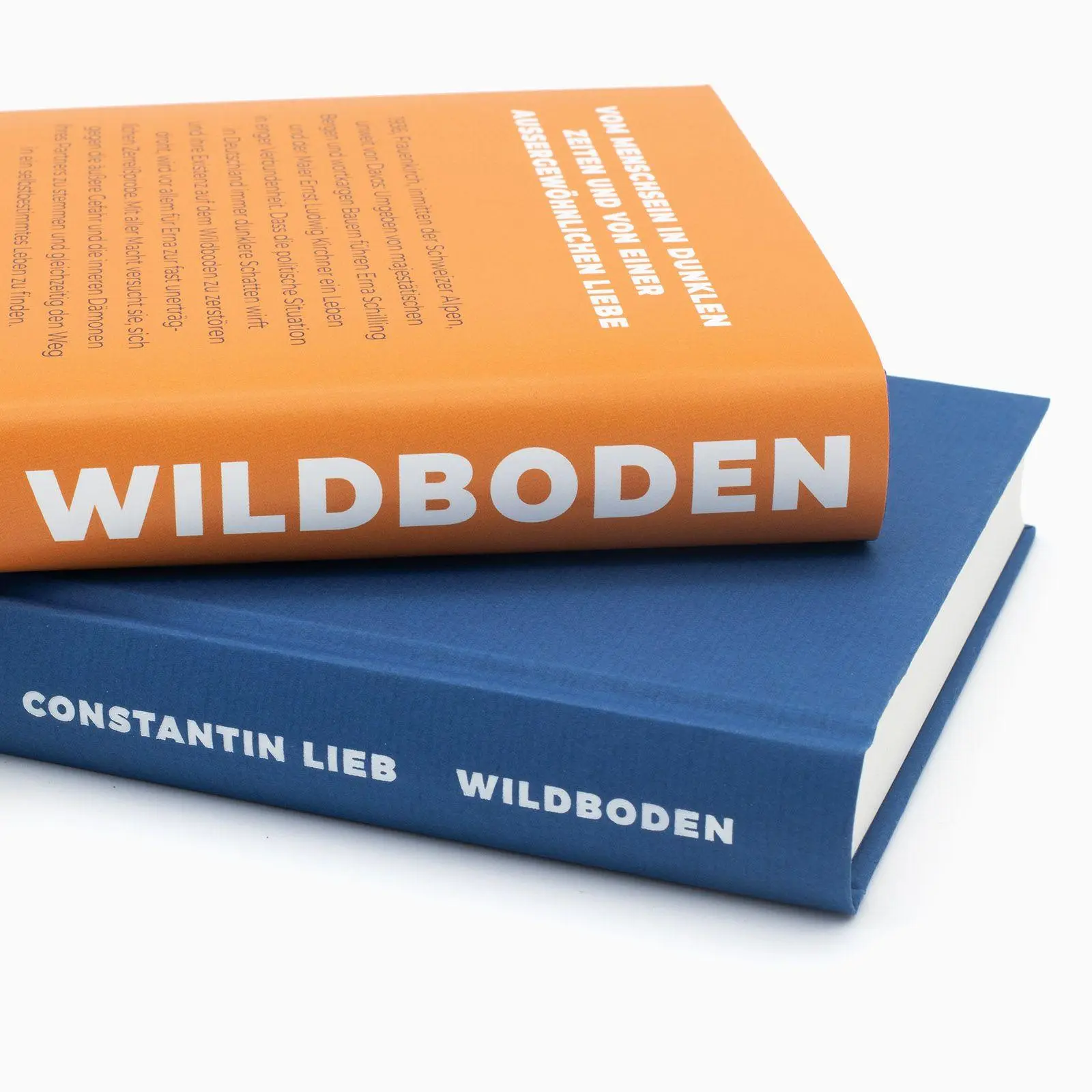 Bild: 9783458646273 | Wildboden | Constantin Lieb | Buch | 240 S. | Deutsch | 2026
