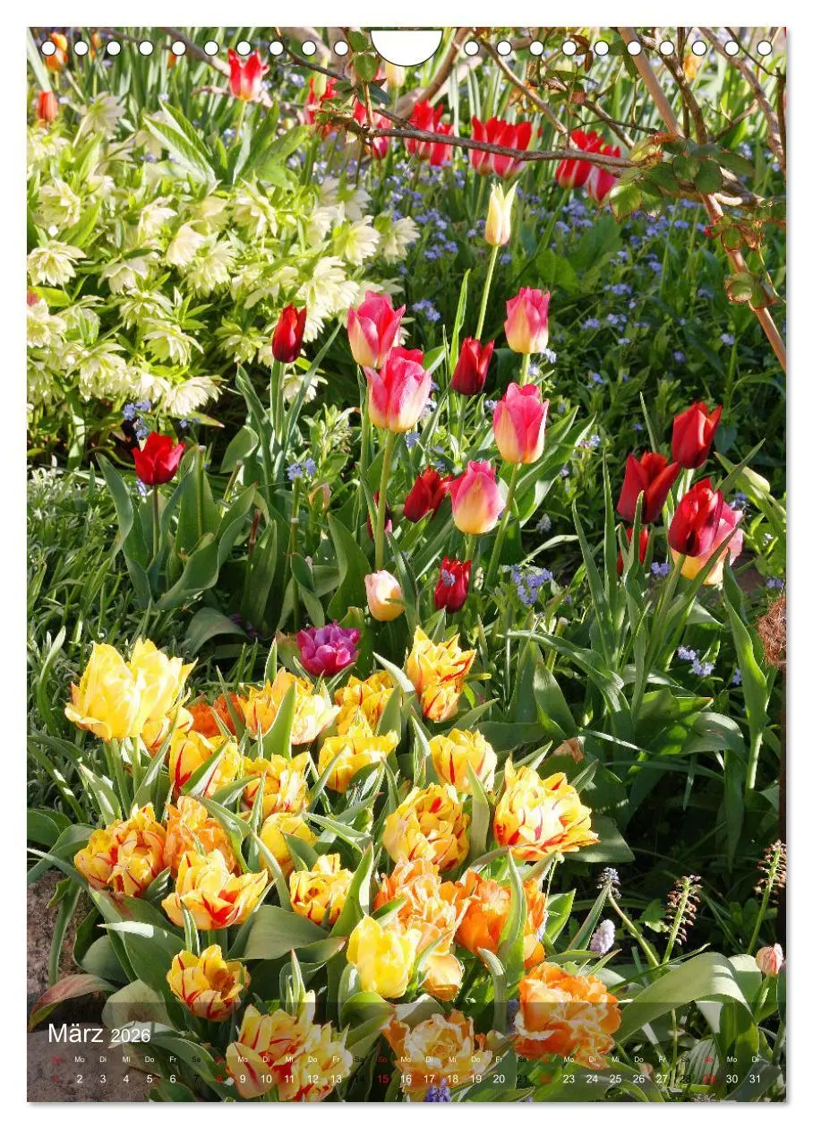 Bild: 9783516366273 | Ferien im Garten (Wandkalender 2026 DIN A4 hoch), CALVENDO...