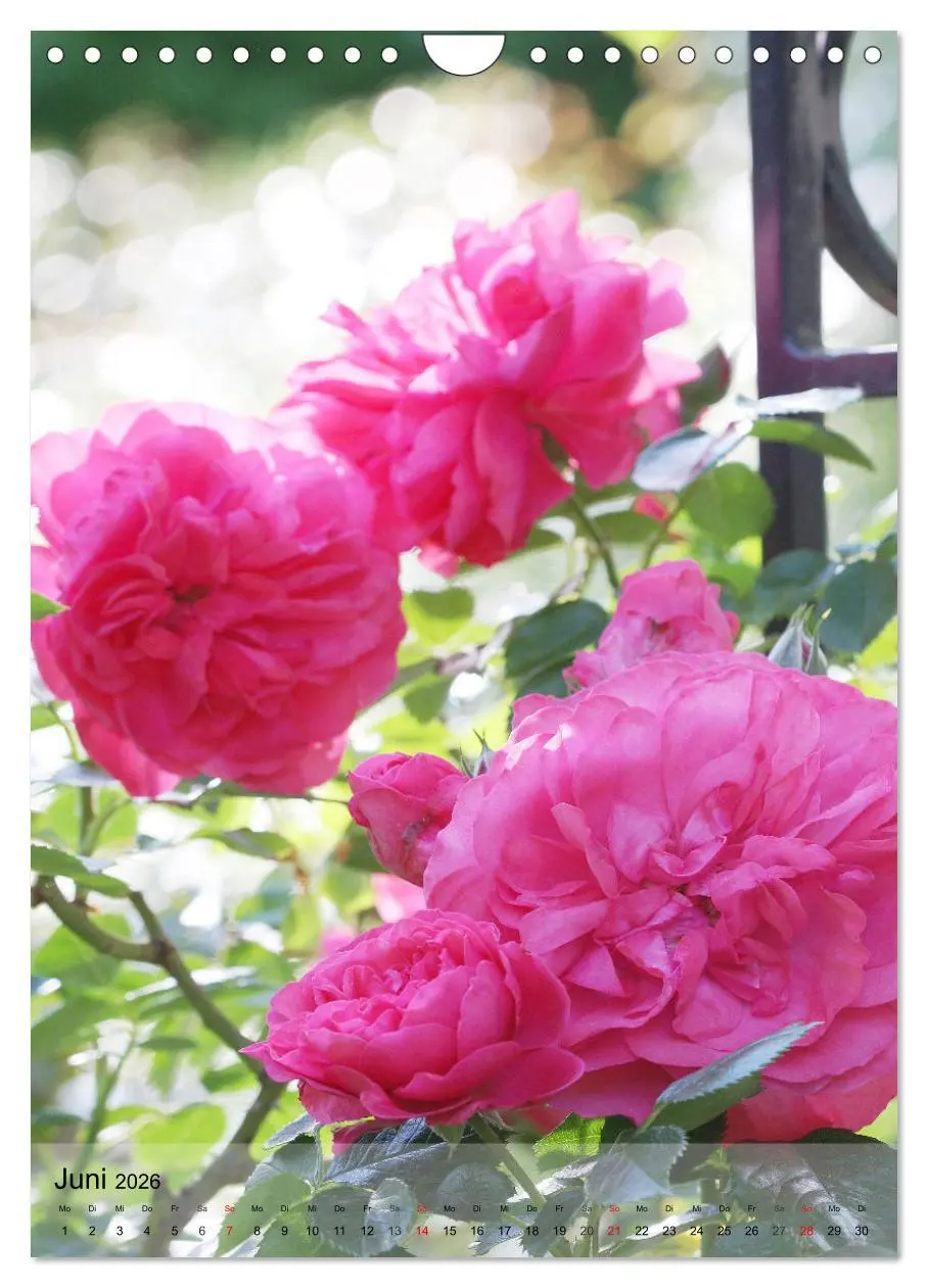 Bild: 9783516366273 | Ferien im Garten (Wandkalender 2026 DIN A4 hoch), CALVENDO...
