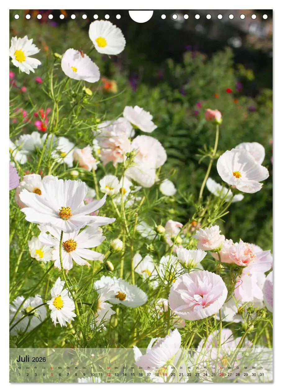 Bild: 9783516366273 | Ferien im Garten (Wandkalender 2026 DIN A4 hoch), CALVENDO...