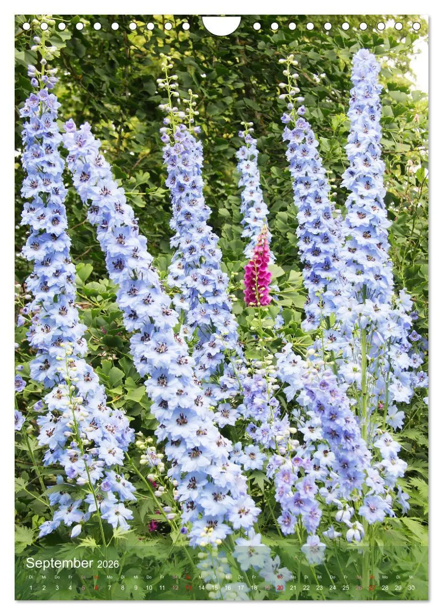 Bild: 9783516366273 | Ferien im Garten (Wandkalender 2026 DIN A4 hoch), CALVENDO...