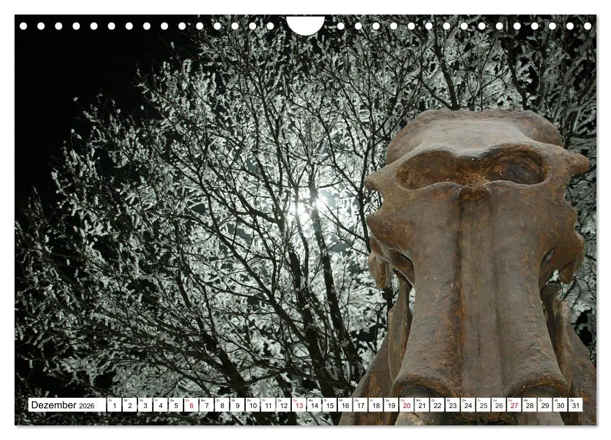 Bild: 9783457646373 | Versteinerte Welt (Wandkalender 2026 DIN A4 quer), CALVENDO...