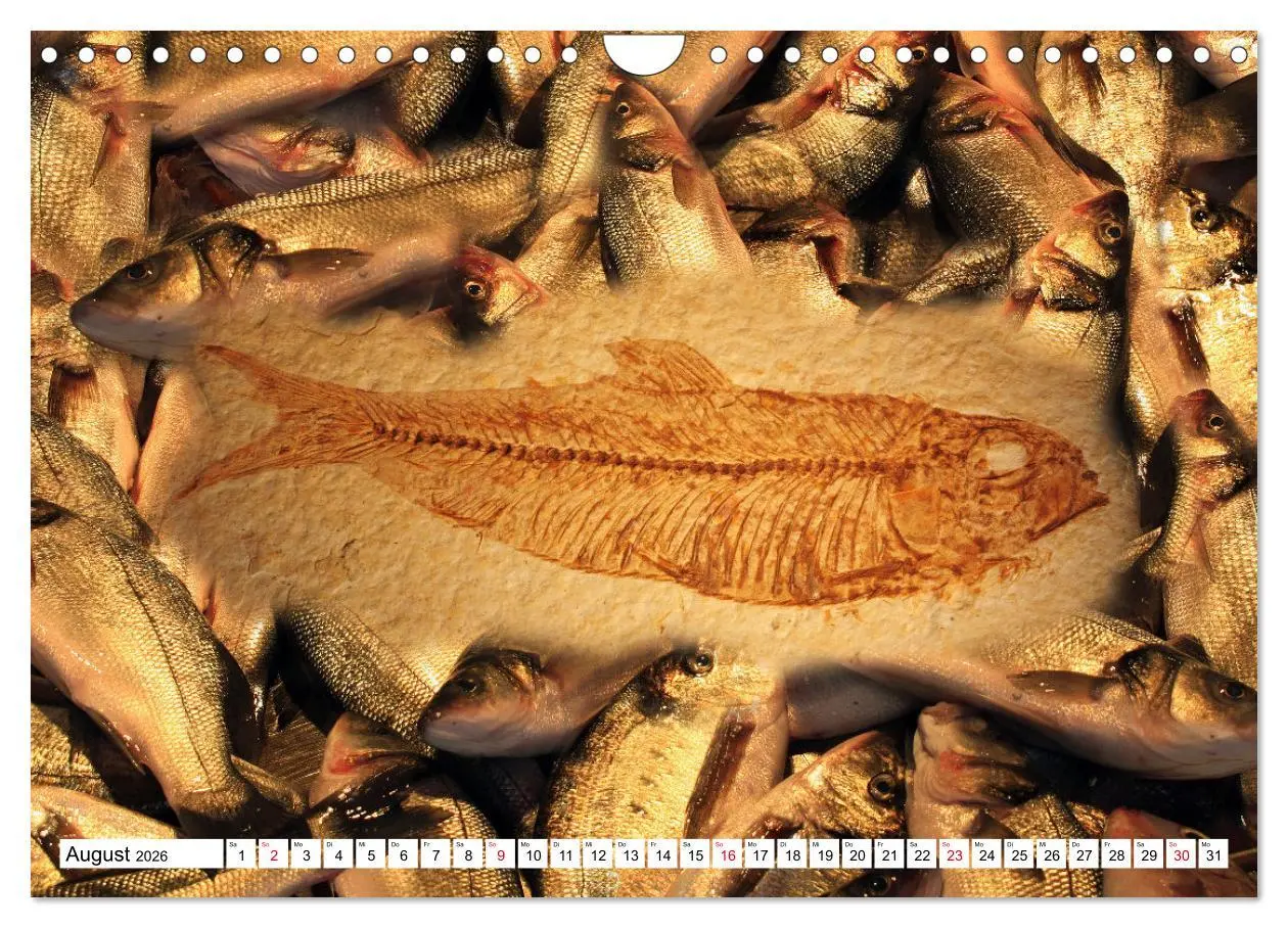 Bild: 9783457646373 | Versteinerte Welt (Wandkalender 2026 DIN A4 quer), CALVENDO...