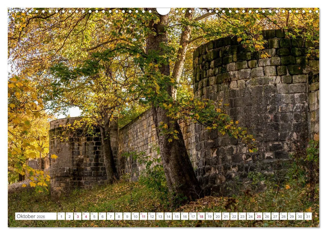 Bild: 9783457886373 | Halberstadt 2026 (Wandkalender 2026 DIN A3 quer), CALVENDO...
