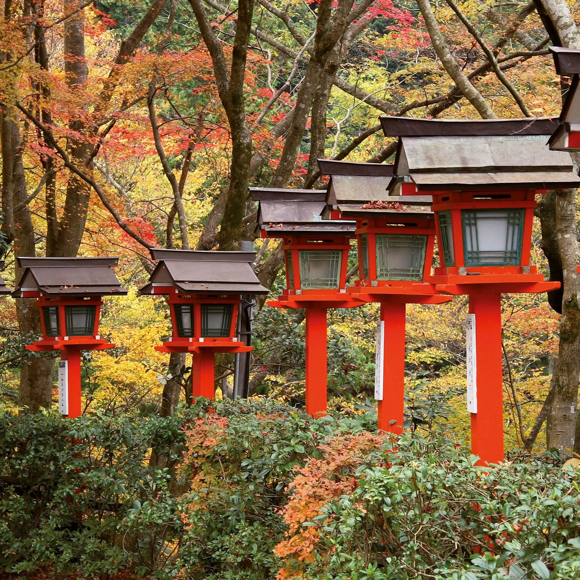 Bild: 9783959296373 | Japanese Garden 2027 | Kalender 2027 | Kalender | Mindful editions