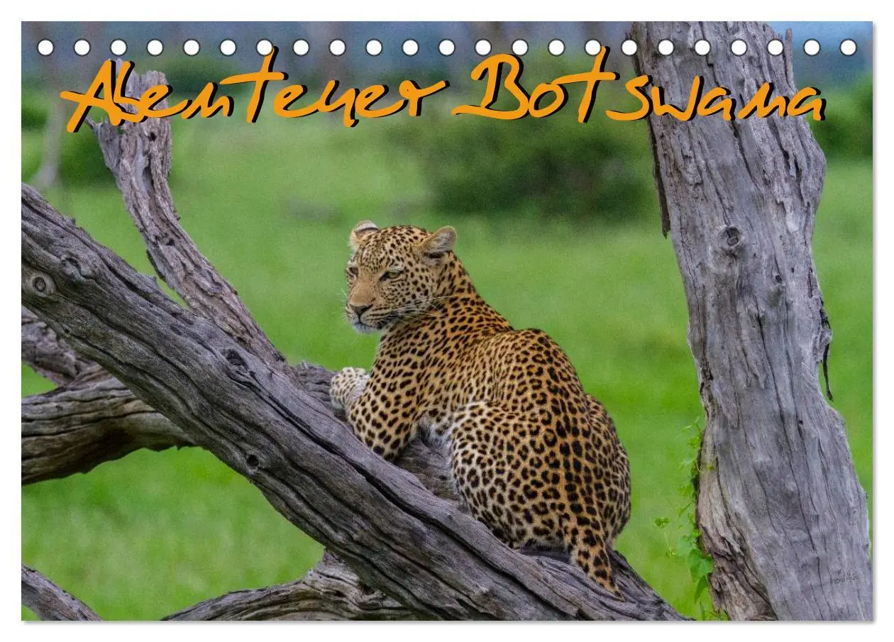 Cover: 9783516196573 | Abenteuer Botswana Afrika - Adventure Botswana (Tischkalender 2026...