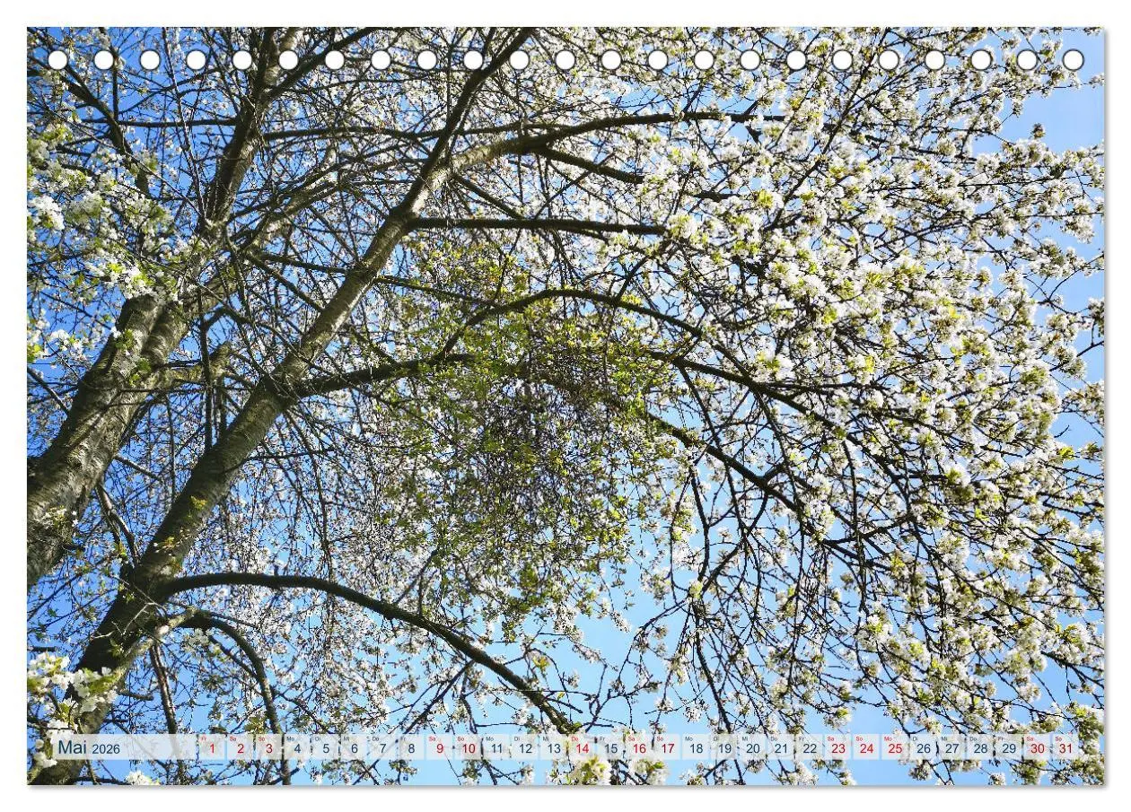 Bild: 9783457546673 | Magisches Ostholstein (Tischkalender 2026 DIN A5 quer), CALVENDO...