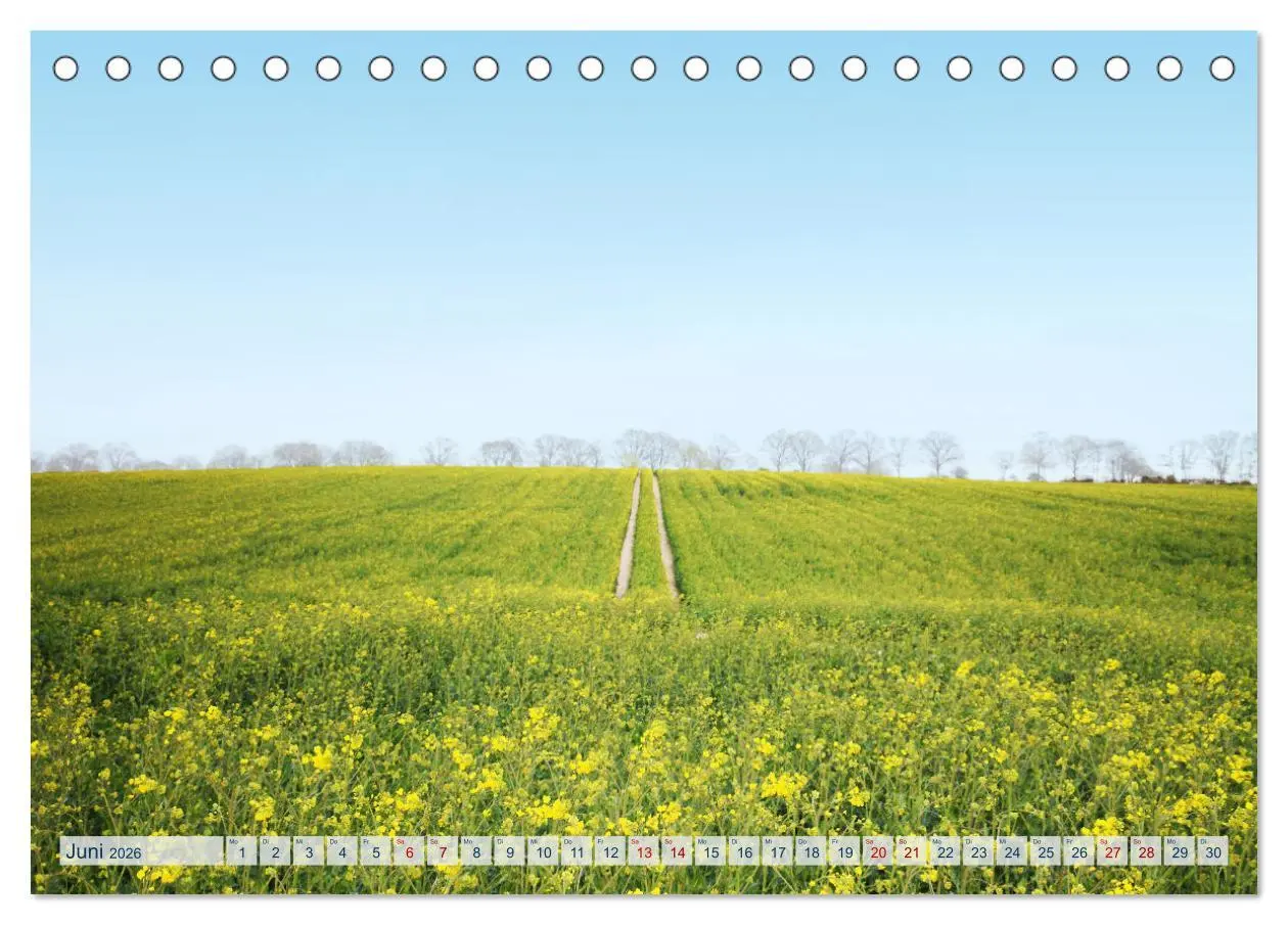 Bild: 9783457546673 | Magisches Ostholstein (Tischkalender 2026 DIN A5 quer), CALVENDO...