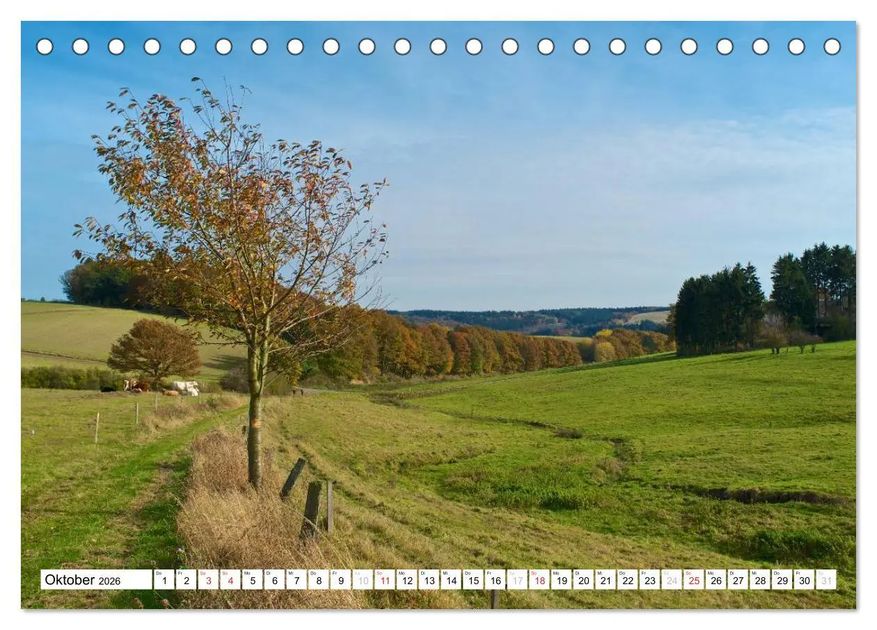 Bild: 9783516186673 | Traumhafte Wege durch die Eifel (Tischkalender 2026 DIN A5 quer),...