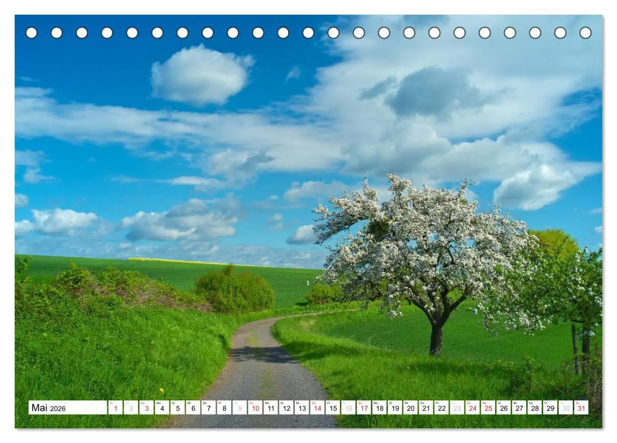 Bild: 9783516186673 | Traumhafte Wege durch die Eifel (Tischkalender 2026 DIN A5 quer),...