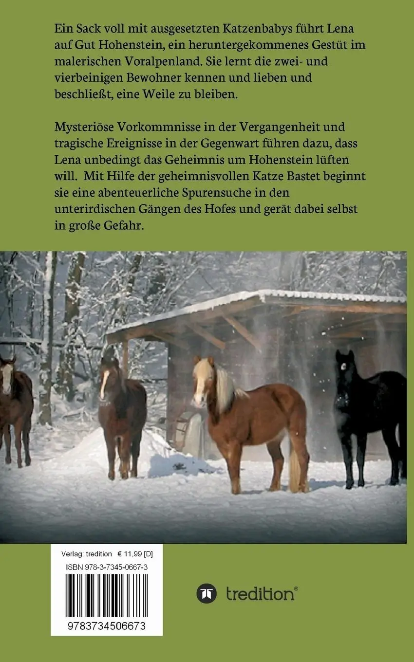 Rückseite: 9783734506673 | Die Nacht der Katzengöttin | Elise Lambert | Taschenbuch | 384 S.