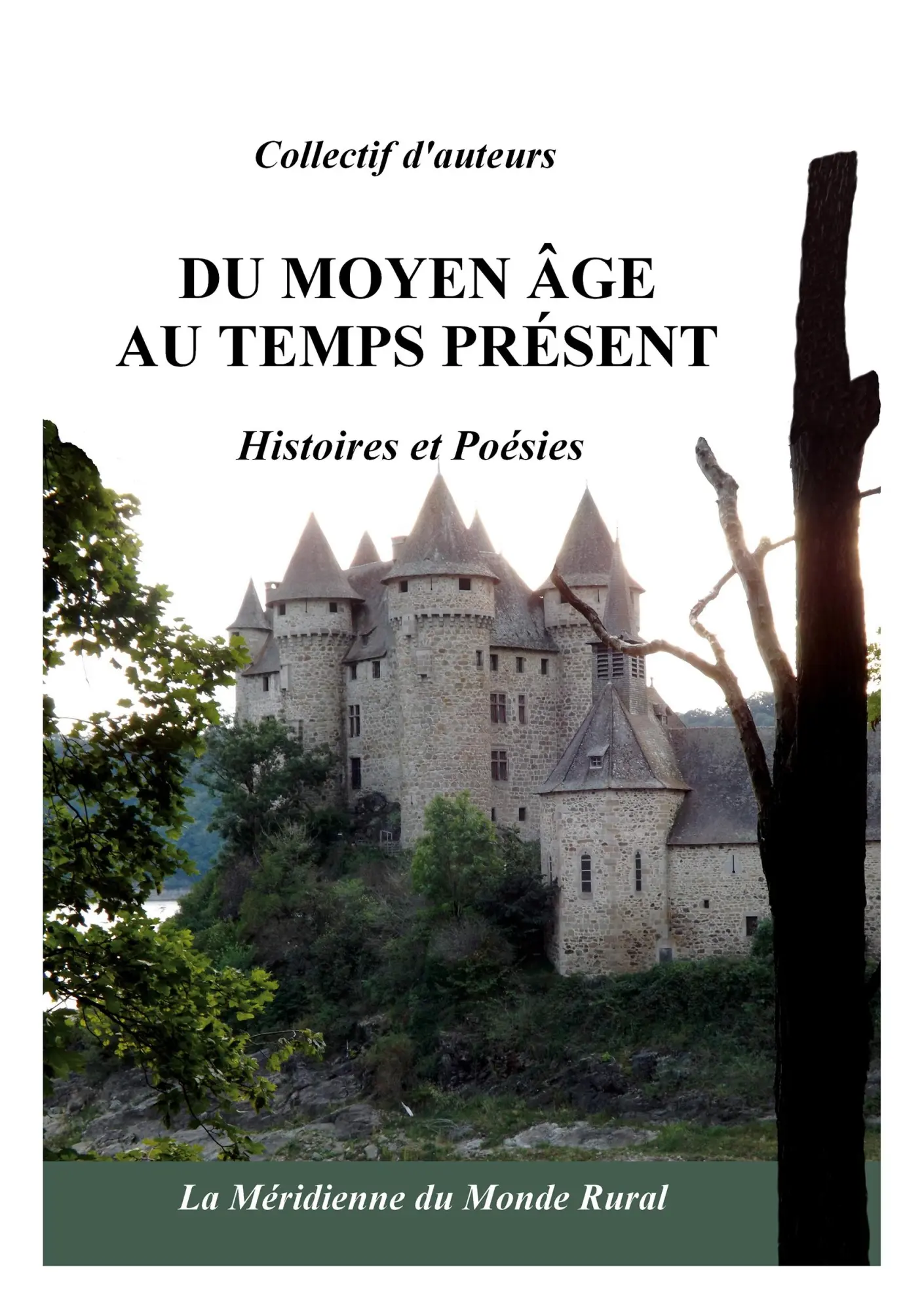 Cover: 9791090416673 | Du Moyen Âge au temps présent | Histoires et poésies | D'Auteurs