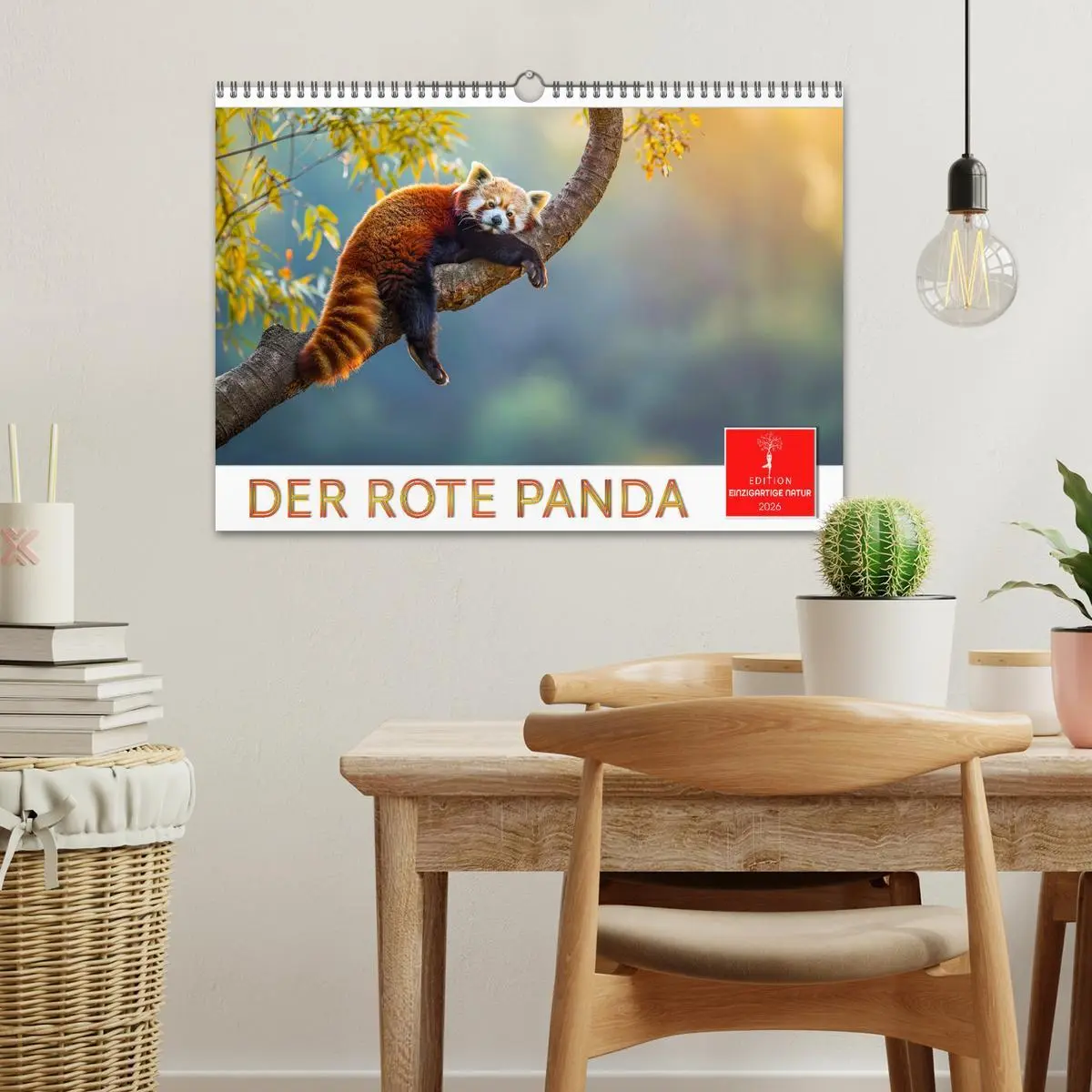 Bild: 9783457396773 | Der Rote Panda (Wandkalender 2026 DIN A3 quer), CALVENDO...