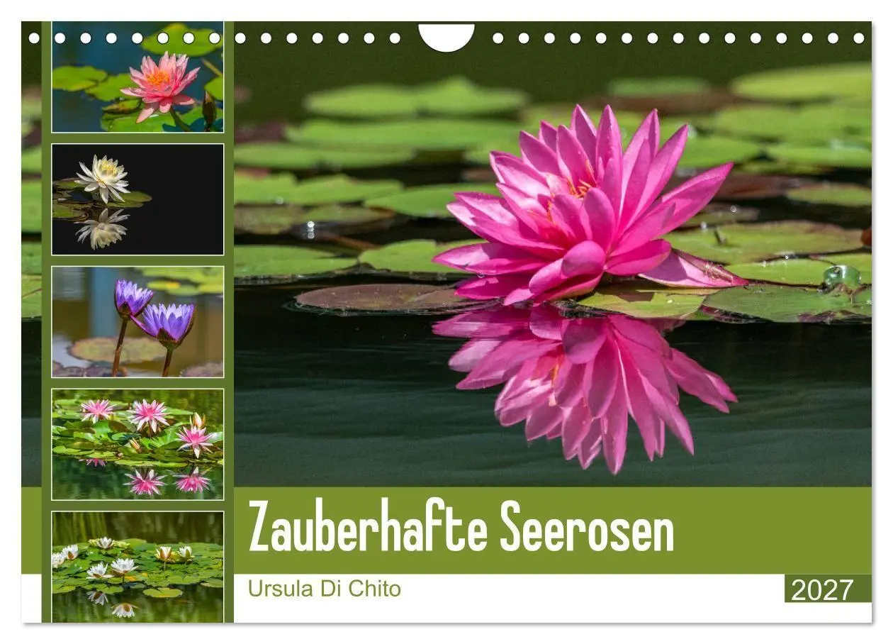 Cover: 9783569646773 | Zauberhafte Seerosen (Wandkalender 2027 DIN A4 quer), CALVENDO...