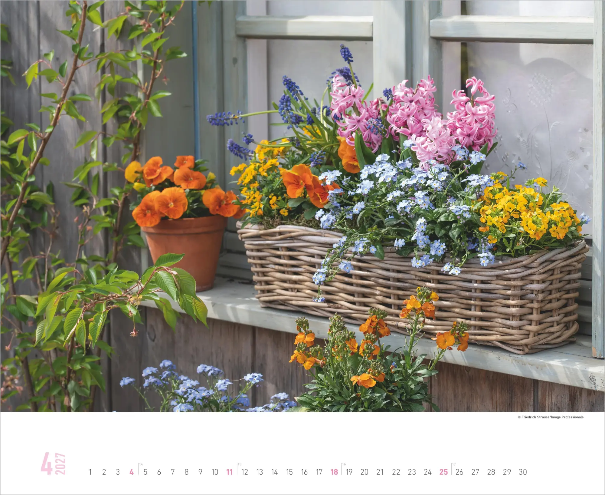 Bild: 4069095016873 | Gartenparadiese 2027 | Kalender | 14 S. | Deutsch | 2027