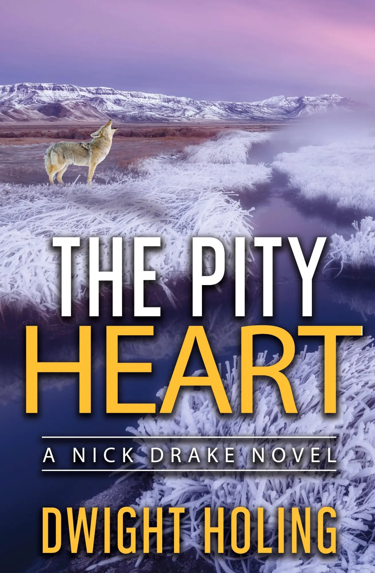 Cover: 9780999146873 | The Pity Heart | Dwight Holing | Taschenbuch | Englisch | 2019