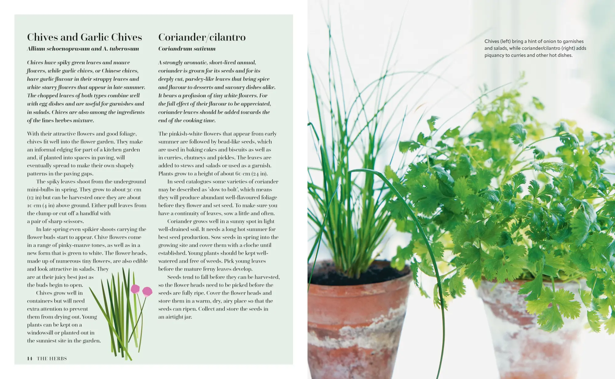 Bild: 9781788796873 | The Herb Kitchen | Recipes for enjoying &amp; using herbs in your cooking