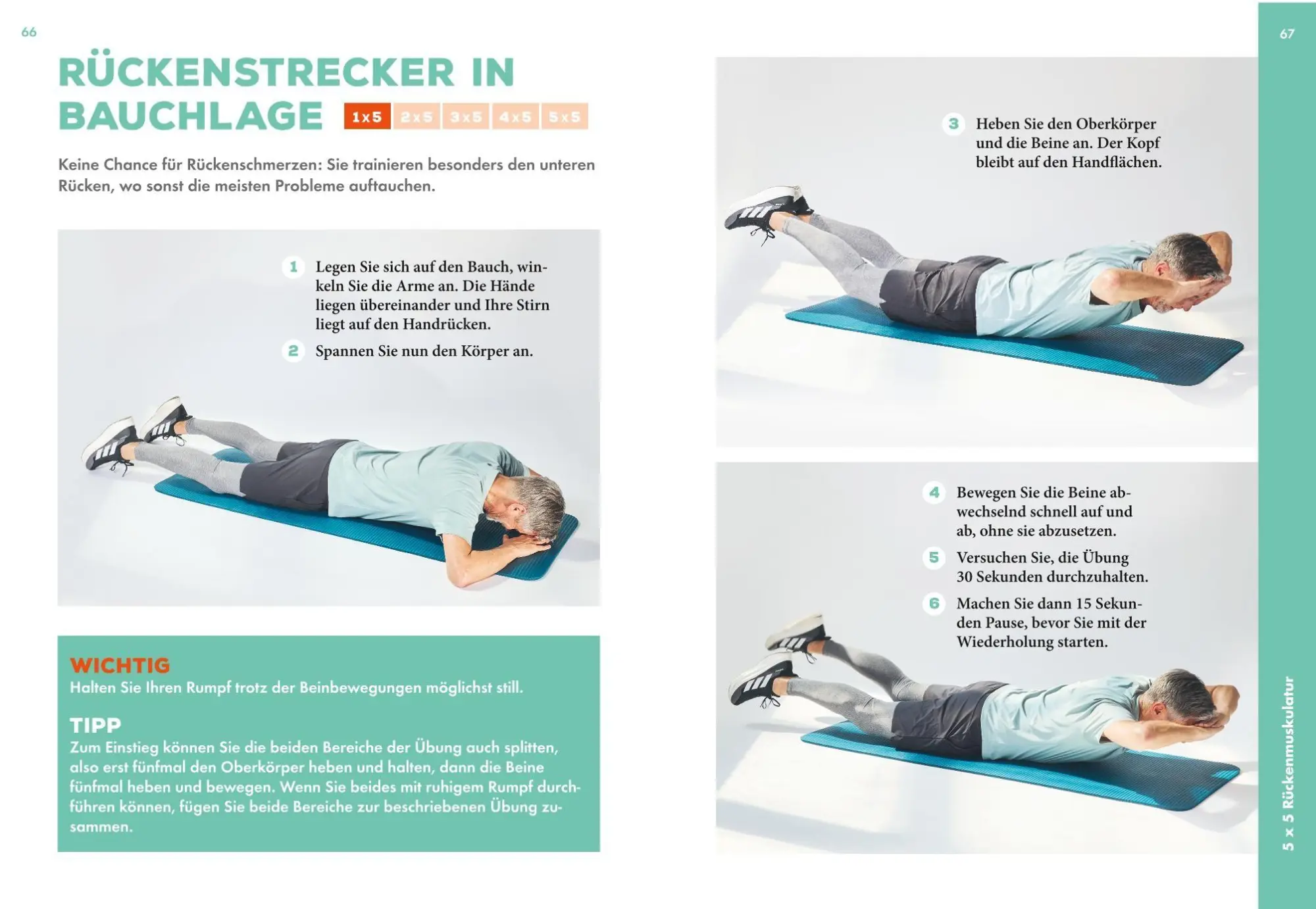 Bild: 9783833896873 | Das 5x5-Prinzip | Ingo Froböse | Buch | GU Fitness | 192 S. | Deutsch