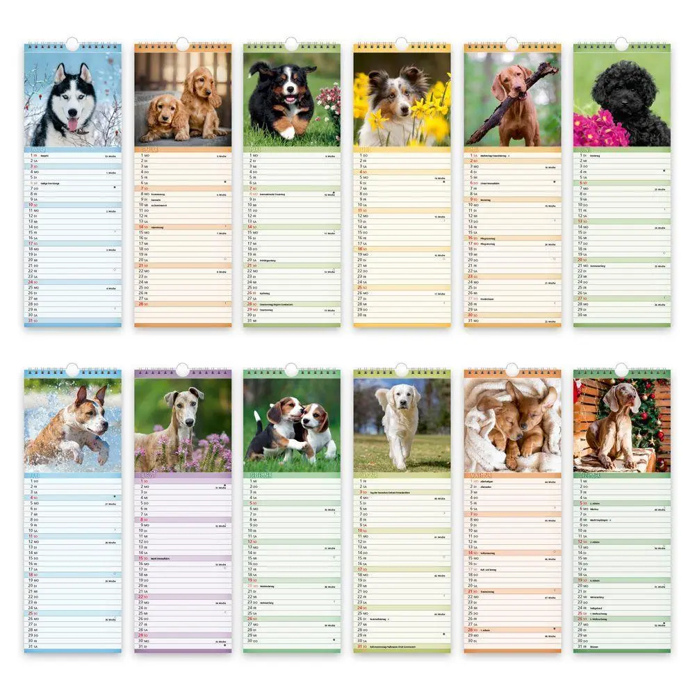 Bild: 9783988026873 | TRÖTSCH - Streifenkalender Hunde 2027 Notizkalender | KG | Kalender