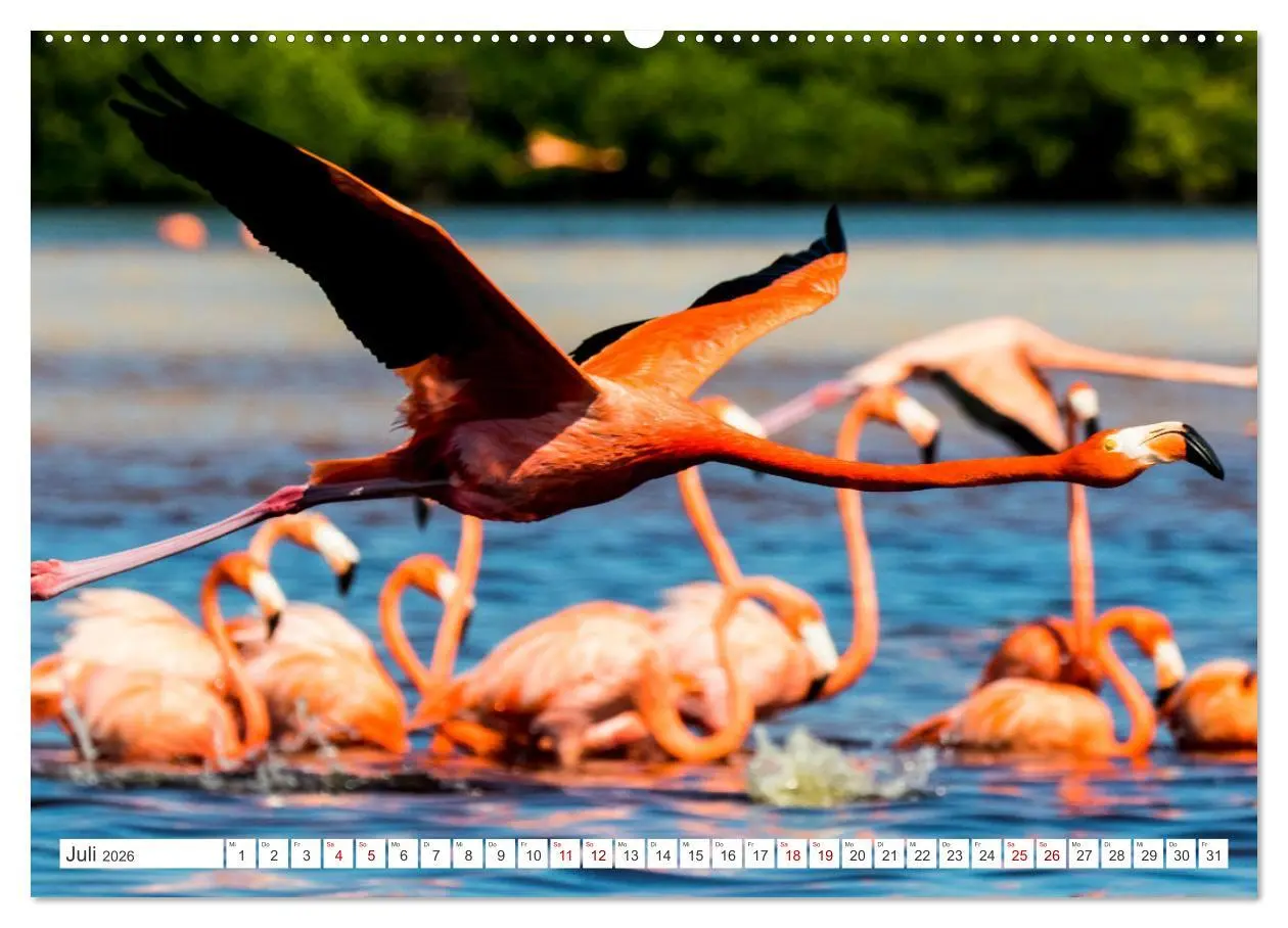 Bild: 9783457516973 | Unterwegs auf Yucatan Mexiko (hochwertiger Premium Wandkalender...