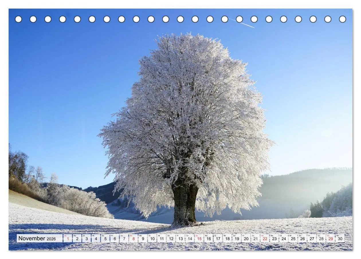 Bild: 9783457826973 | Winter. Zauberhafte Schneelandschaften (Tischkalender 2026 DIN A5...
