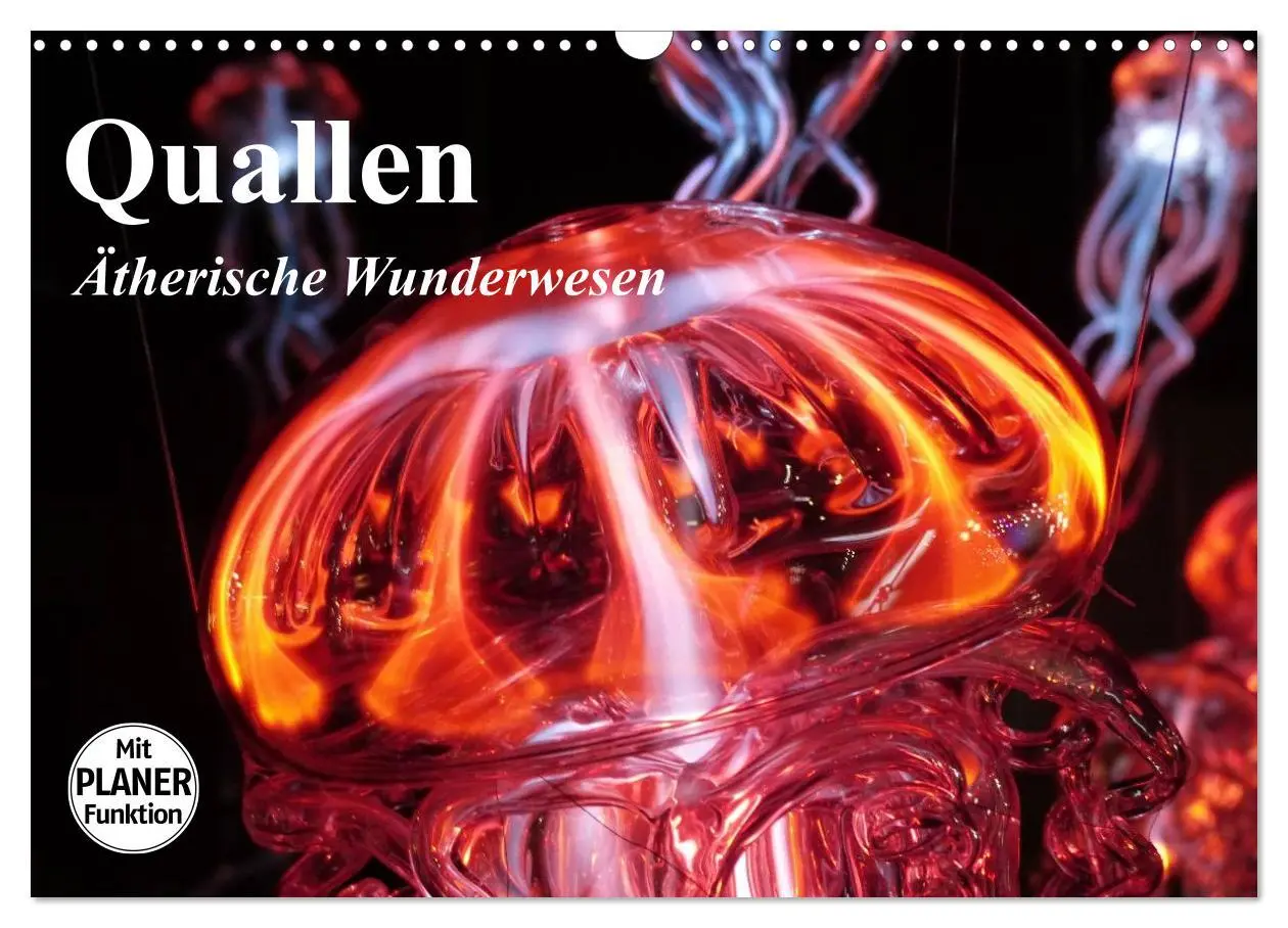 Cover: 9783457996973 | Quallen. Ätherische Wunderwesen (Wandkalender 2026 DIN A3 quer),...