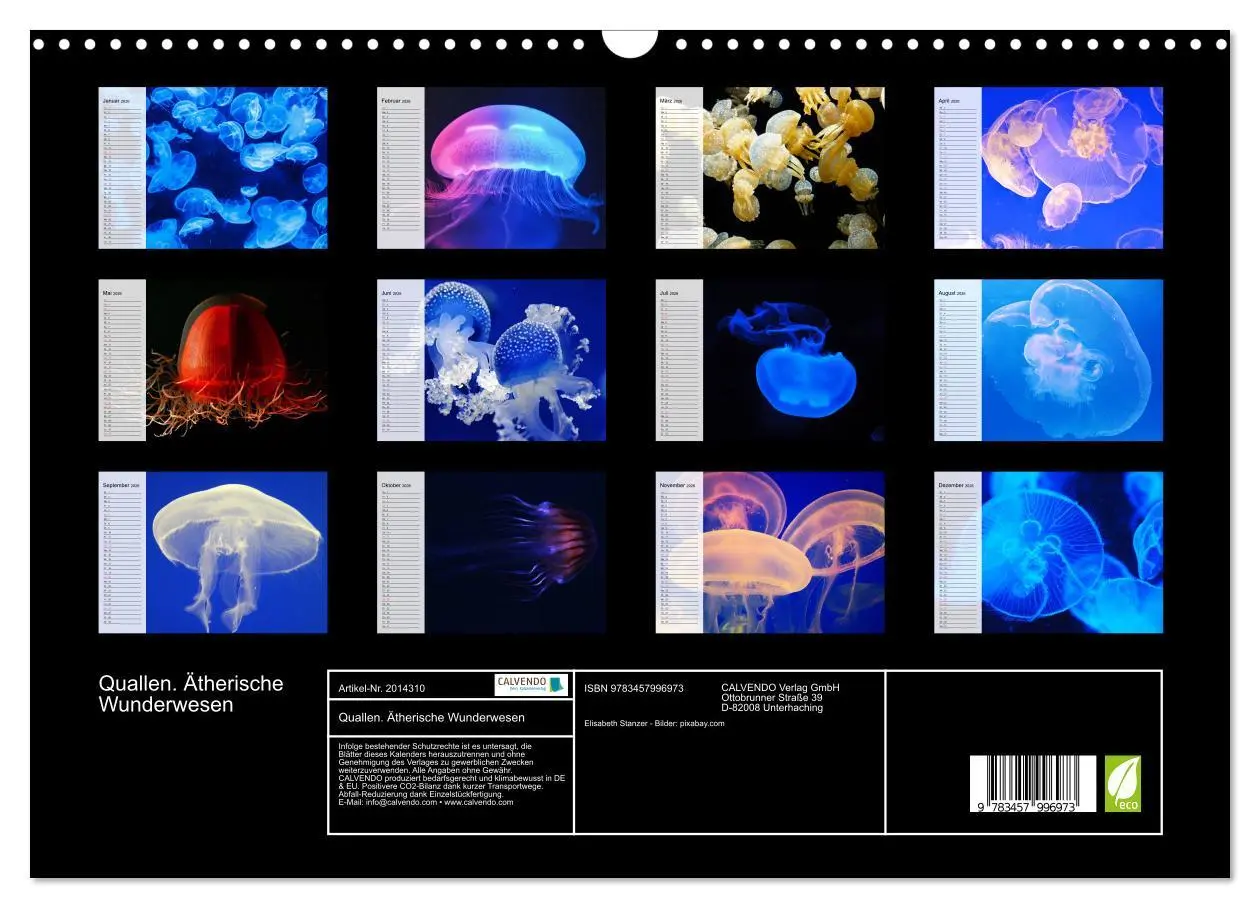 Bild: 9783457996973 | Quallen. Ätherische Wunderwesen (Wandkalender 2026 DIN A3 quer),...