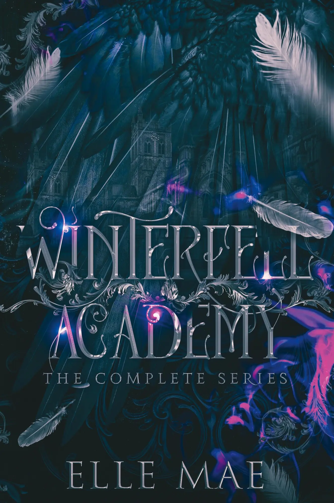 Cover: 9781959187073 | Winterfell Academy | A dark bully why choose | Elle Mae | Taschenbuch
