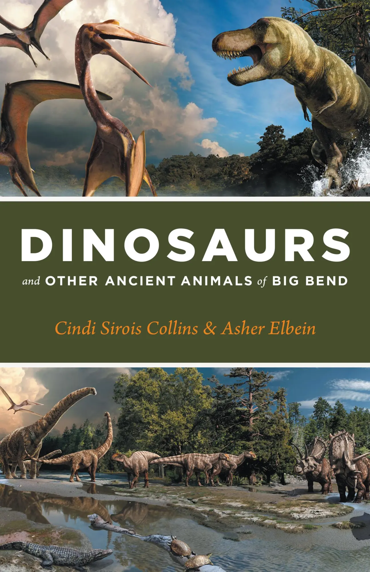 Cover: 9781477327173 | Dinosaurs and Other Ancient Animals of Big Bend | Collins (u. a.)
