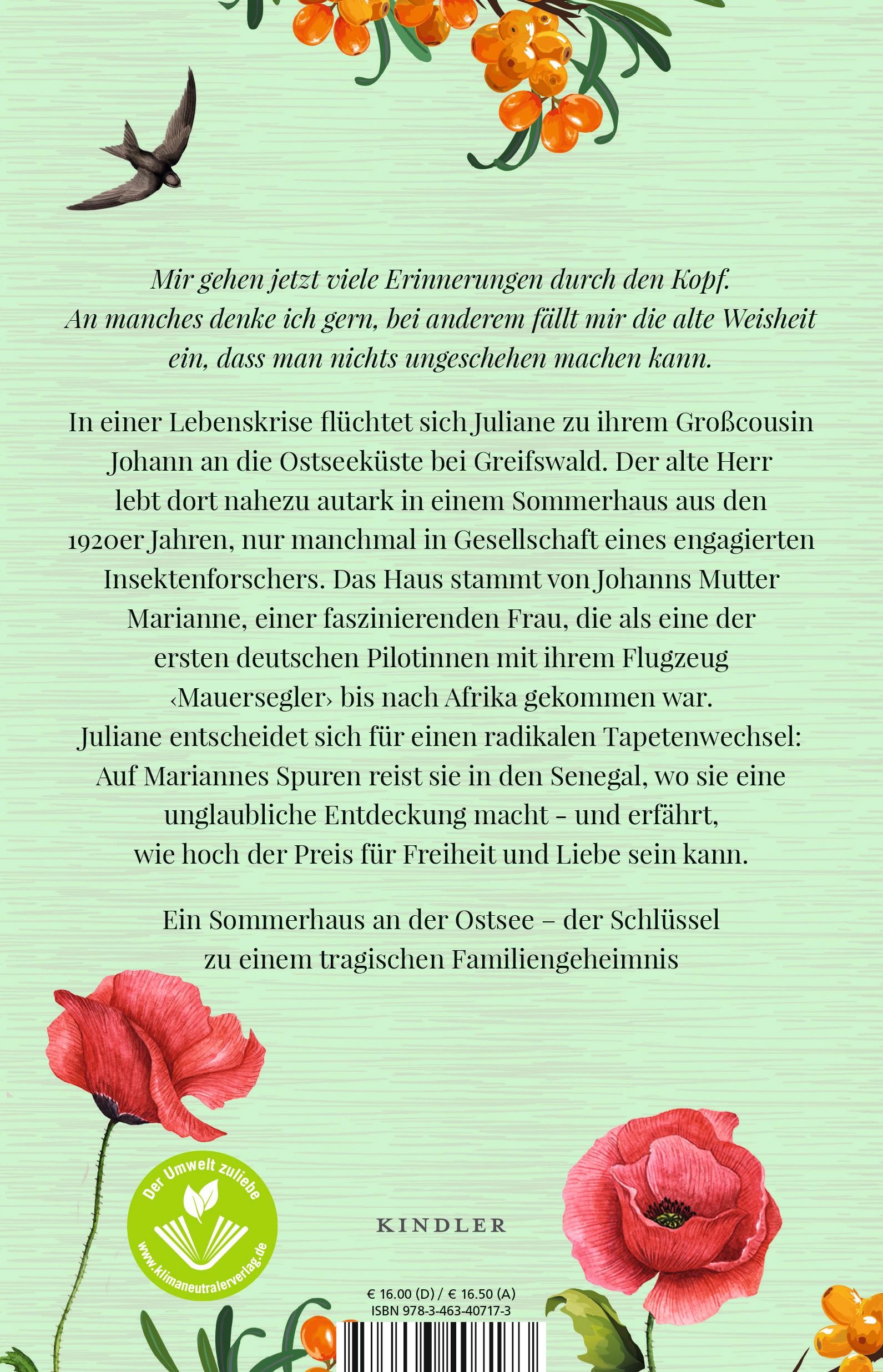 Rückseite: 9783463407173 | Mauersegler | Valerie Jakob | Taschenbuch | 352 S. | Deutsch | 2021