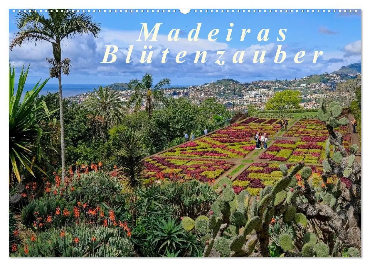 Cover: 9783516107173 | Madeiras Blütenzauber (Wandkalender 2026 DIN A2 quer), CALVENDO...