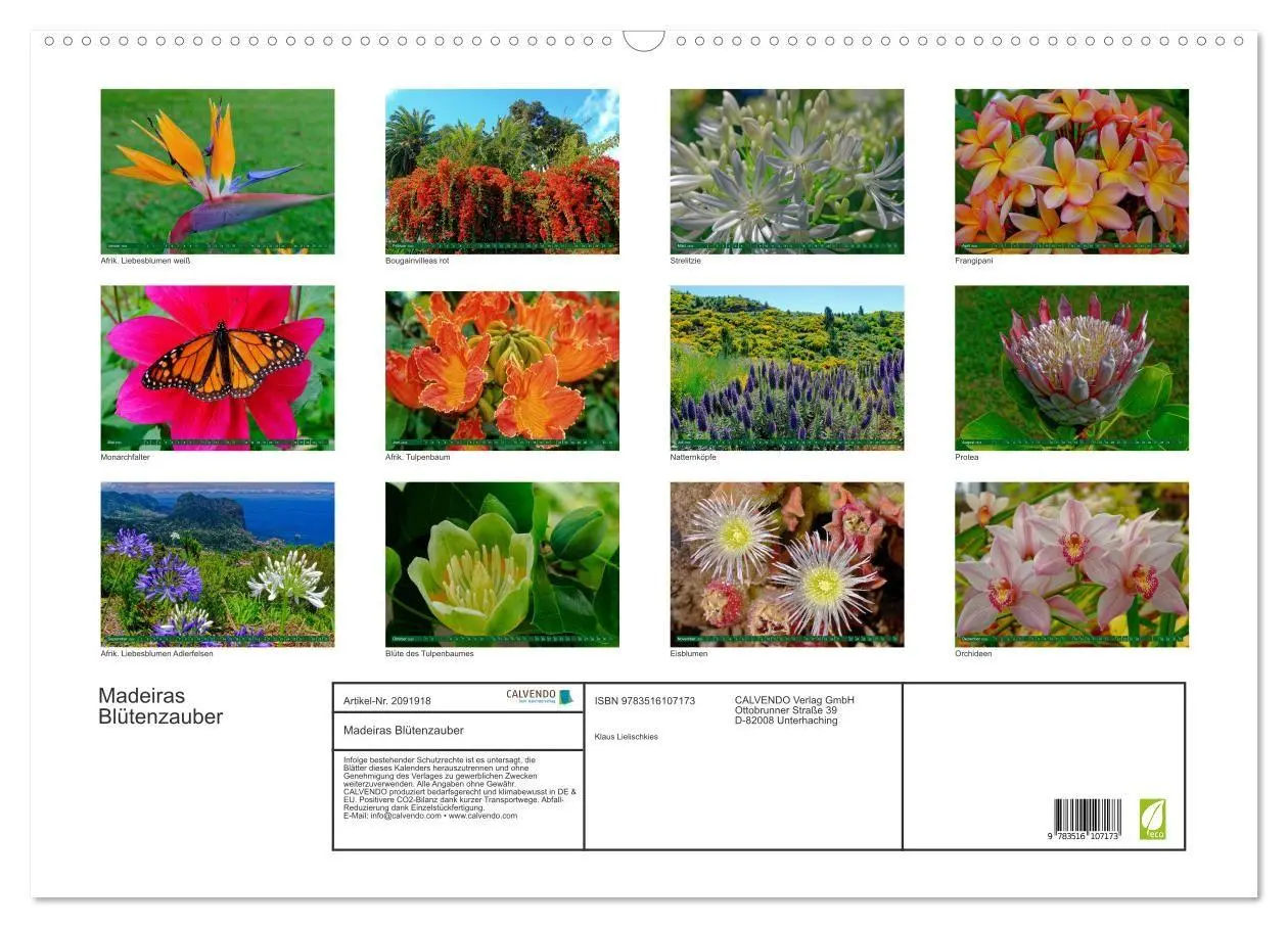 Bild: 9783516107173 | Madeiras Blütenzauber (Wandkalender 2026 DIN A2 quer), CALVENDO...