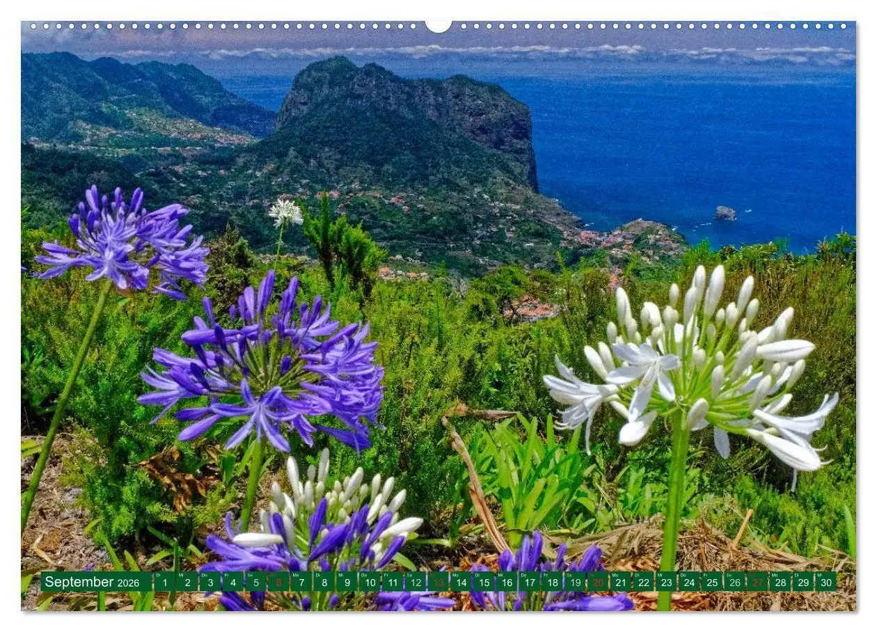 Bild: 9783516107173 | Madeiras Blütenzauber (Wandkalender 2026 DIN A2 quer), CALVENDO...