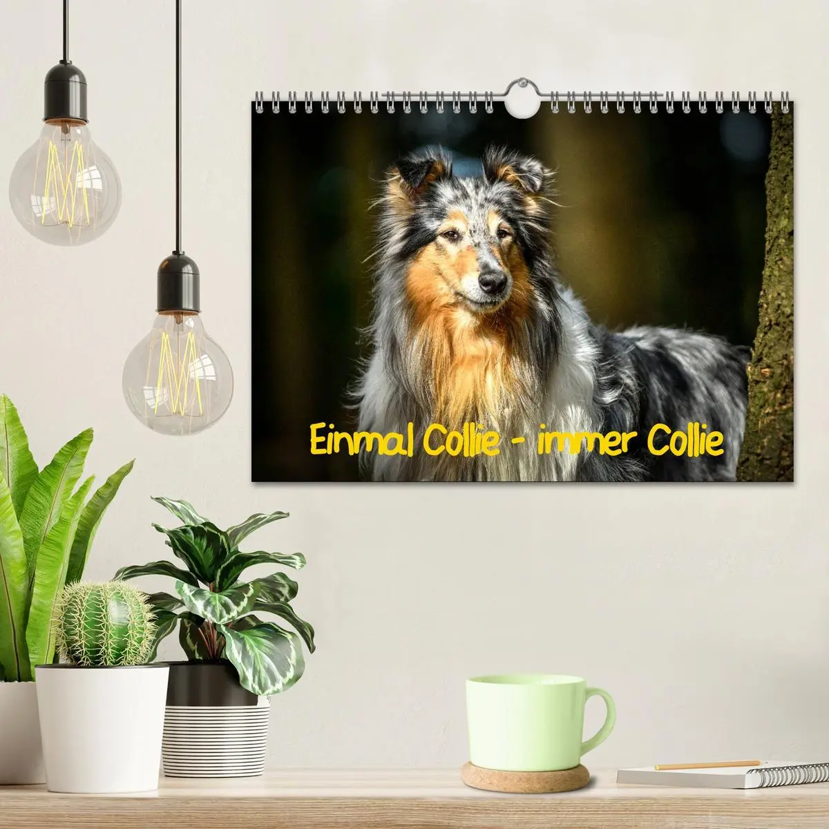 Bild: 9783457937273 | Einmal Collie - immer Collie (Wandkalender 2026 DIN A4 quer),...