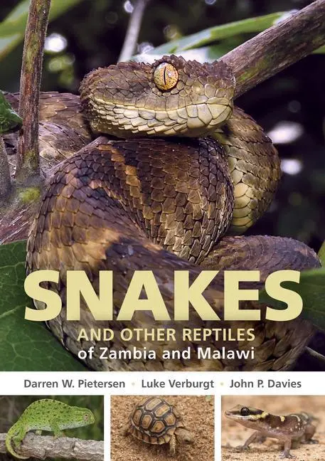 Cover: 9781775847373 | Field Guide to Snakes and Other Reptiles of Zambia and Malawi | Buch