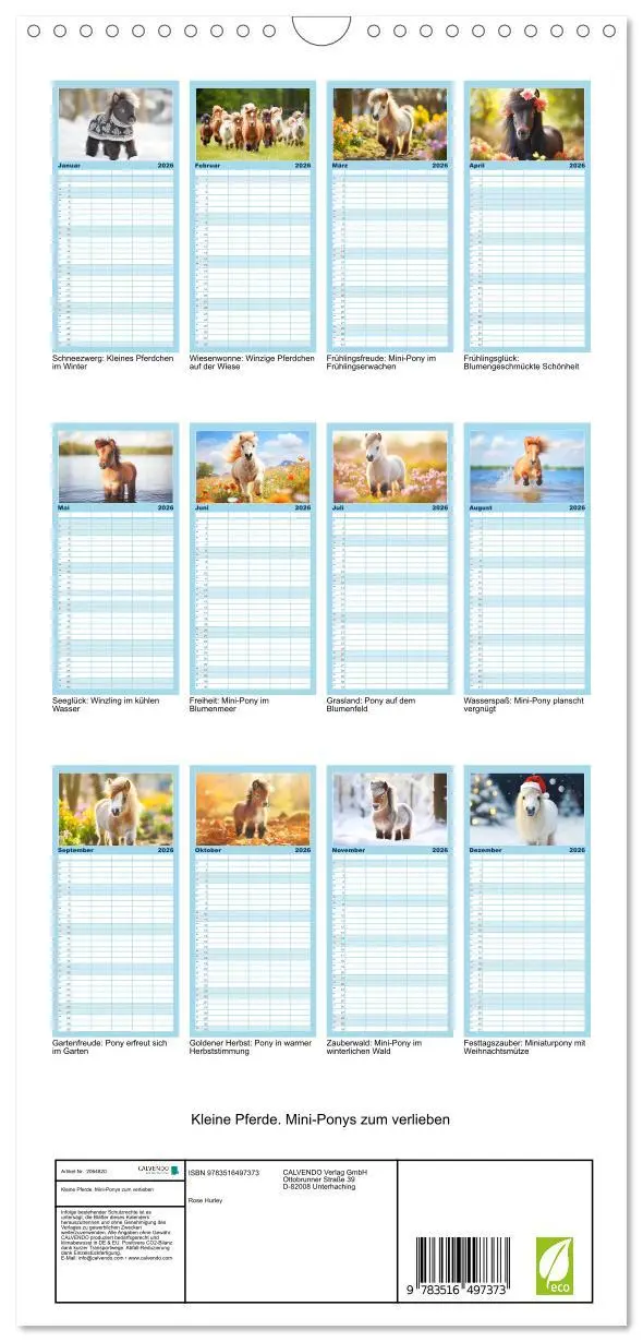Bild: 9783516497373 | Familienplaner 2026 - Kleine Pferde. Mini-Ponys zum verlieben mit 5...