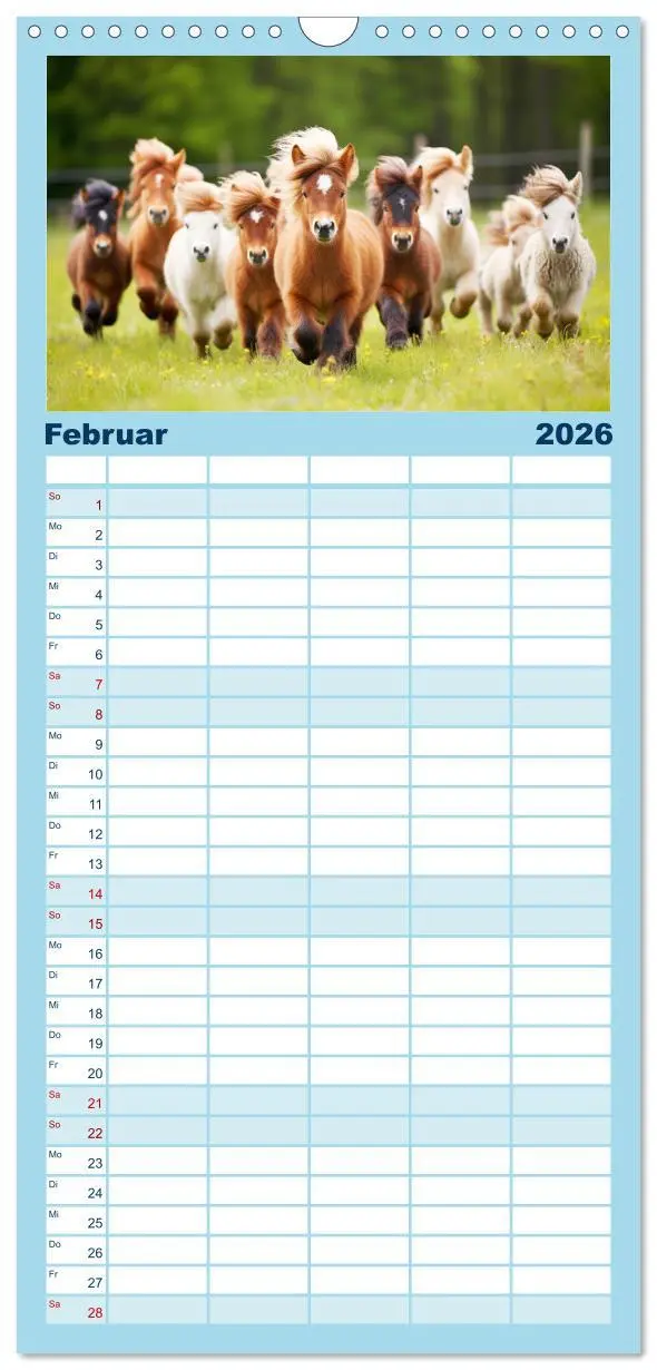 Bild: 9783516497373 | Familienplaner 2026 - Kleine Pferde. Mini-Ponys zum verlieben mit 5...
