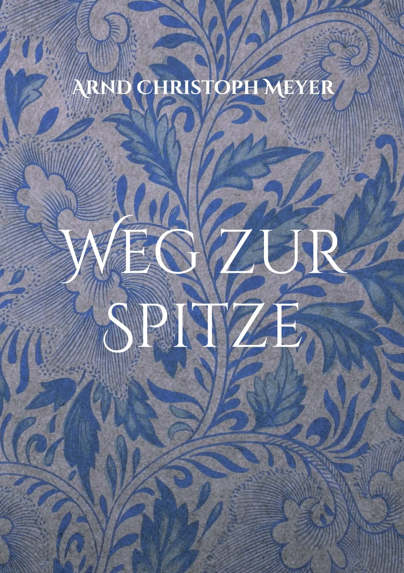 Cover: 9783696377373 | Weg zur Spitze | Arnd Christoph Meyer | Taschenbuch | 36 S. | Deutsch