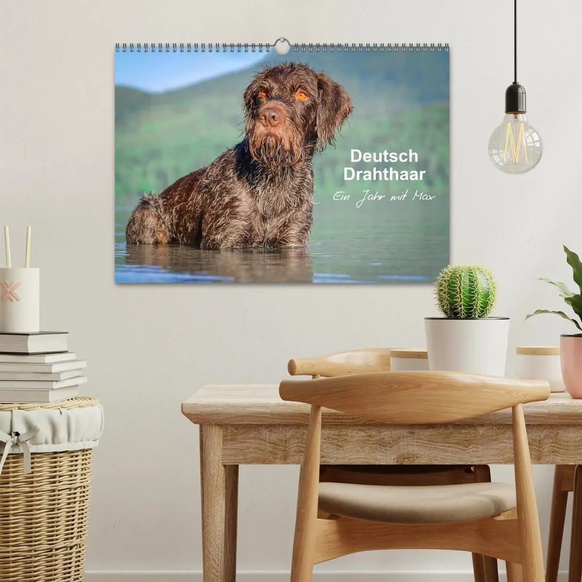 Bild: 9783457777473 | Deutsch Drahthaar - Ein Jahr mit Max (Wandkalender 2026 DIN A3...
