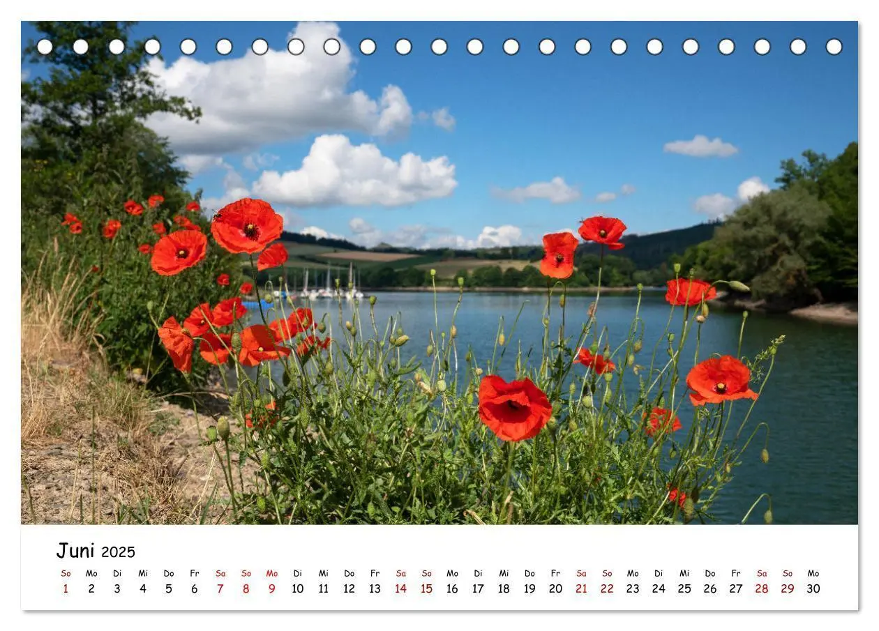 Bild: 9783383897573 | Heimat Entdecken: Sauerland (Tischkalender 2025 DIN A5 quer),...