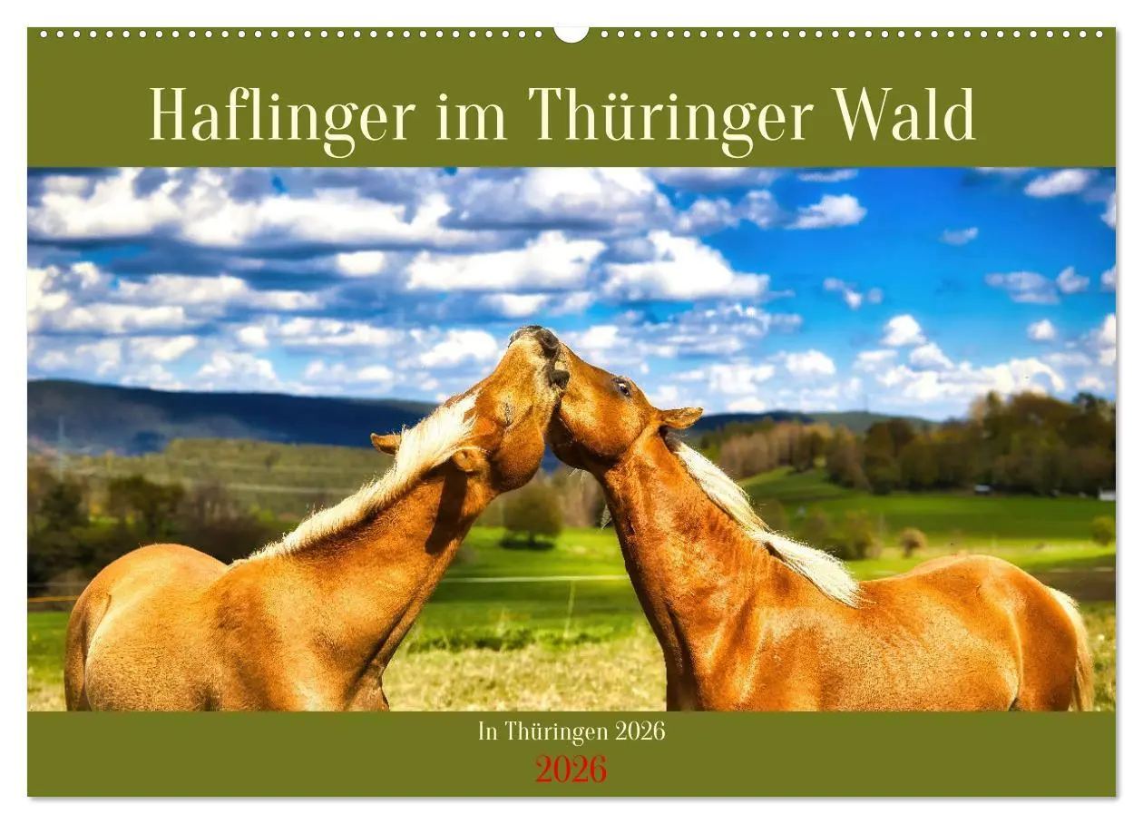 Cover: 9783457387573 | Haflinger im Thüringer Wald (Wandkalender 2026 DIN A2 quer),...