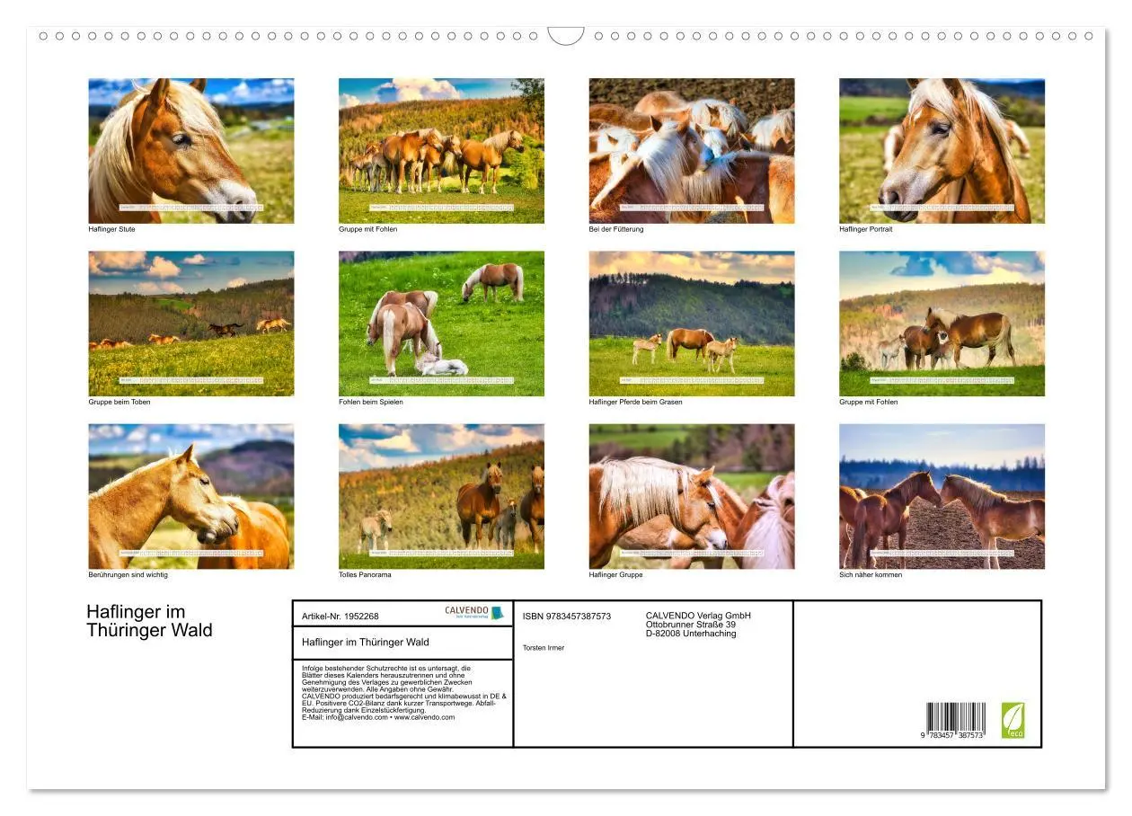 Bild: 9783457387573 | Haflinger im Thüringer Wald (Wandkalender 2026 DIN A2 quer),...