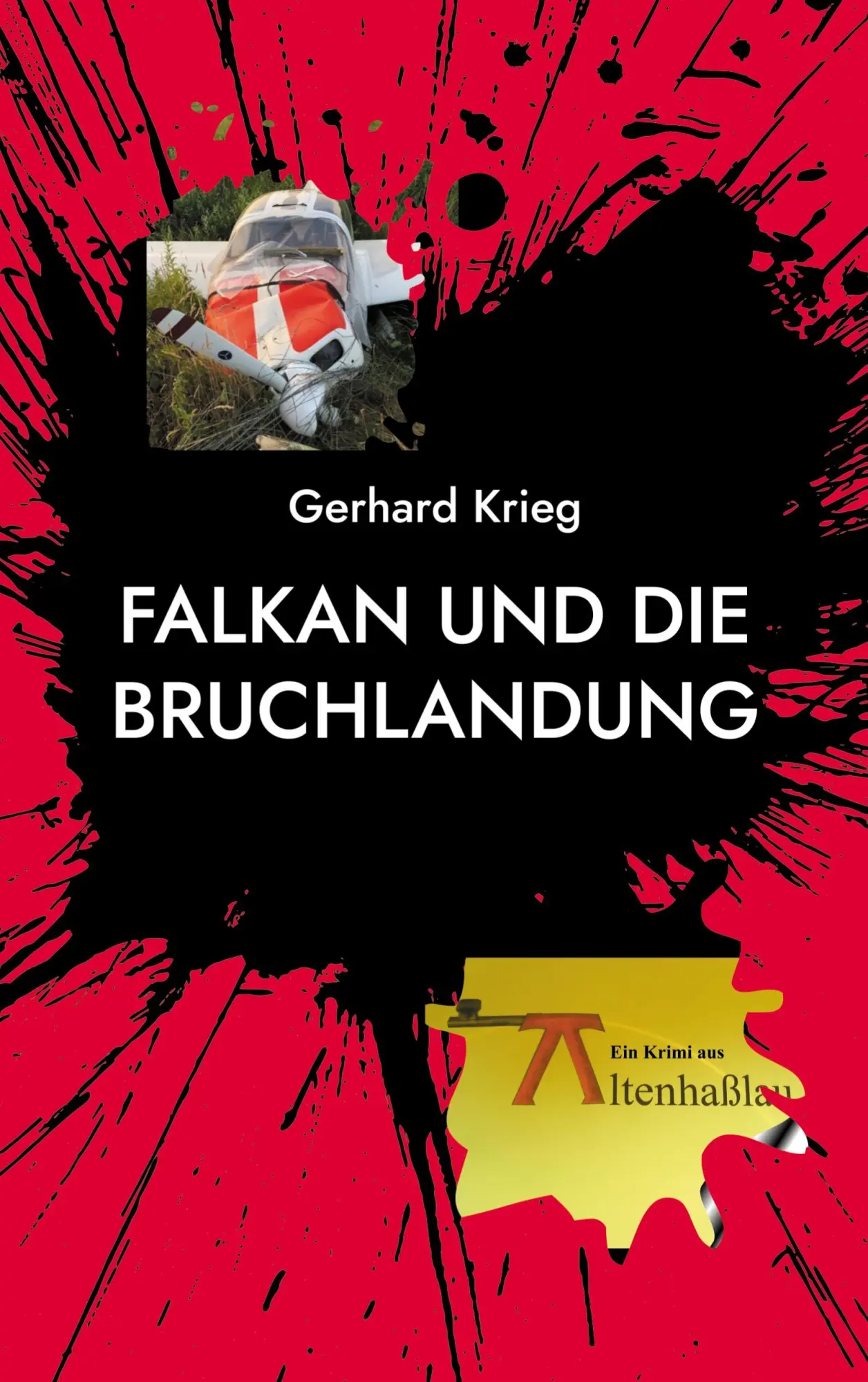 Cover: 9783819277573 | Falkan und die Bruchlandung | Gerhard Krieg | Taschenbuch | 204 S.