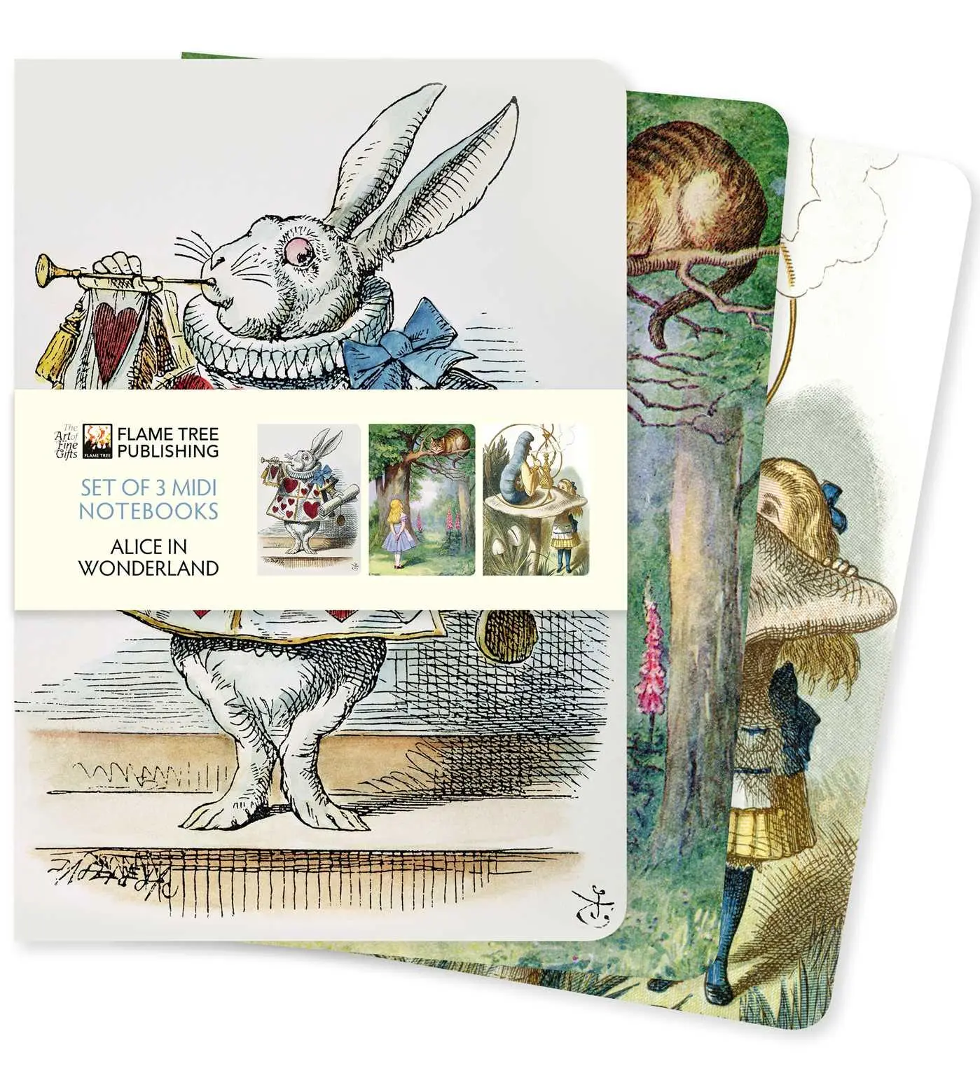 Cover: 9781839647673 | Alice in Wonderland Set of 3 MIDI Notebooks | Flame Tree Publishing